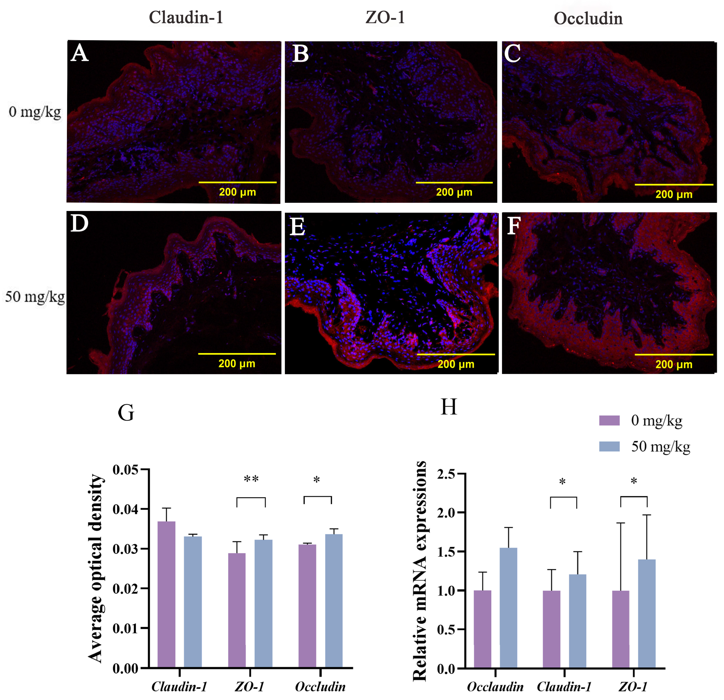 Animals 15 03123 g002
