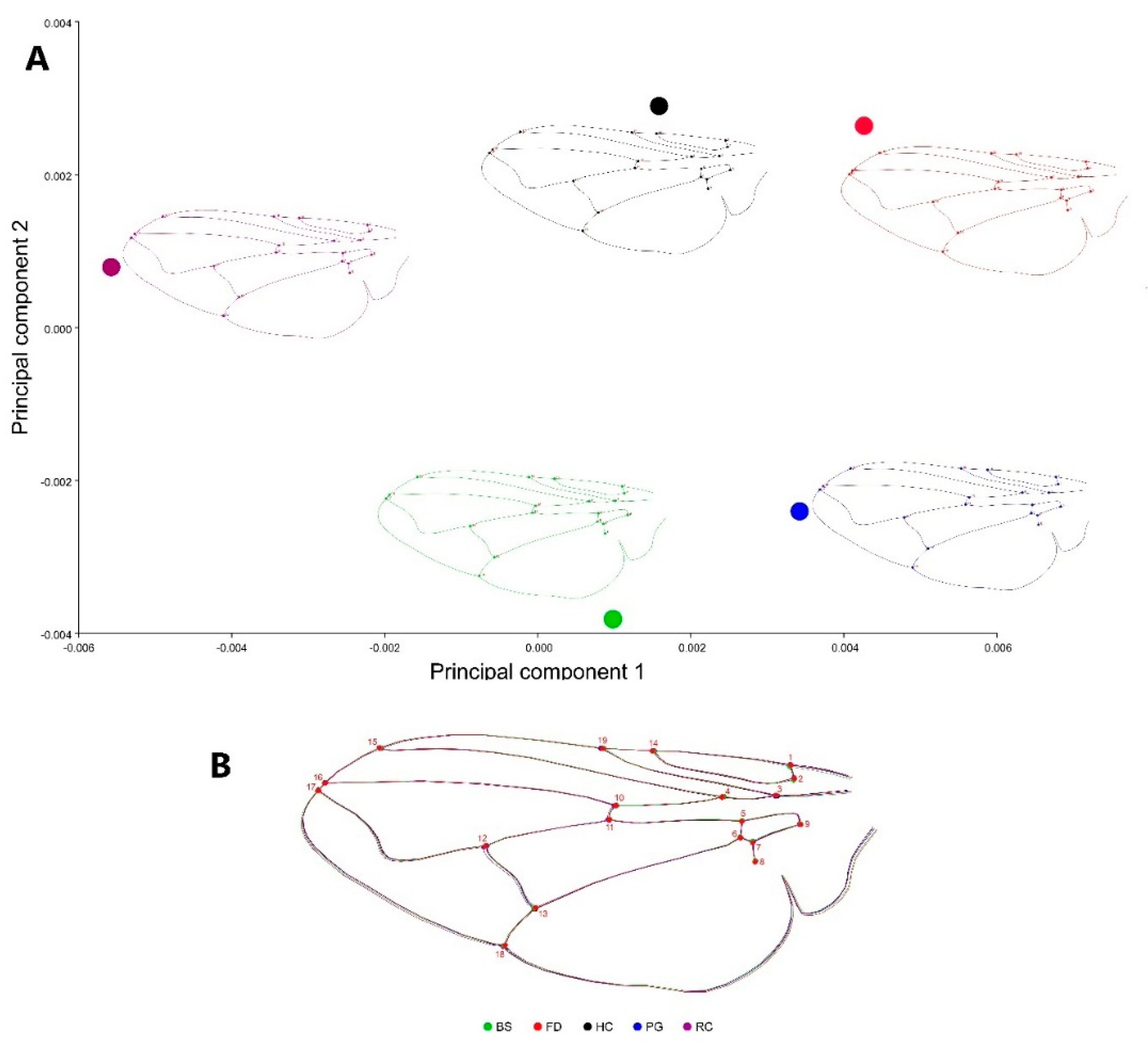 Animals 15 03124 g004 Animals 15 03124 g004
