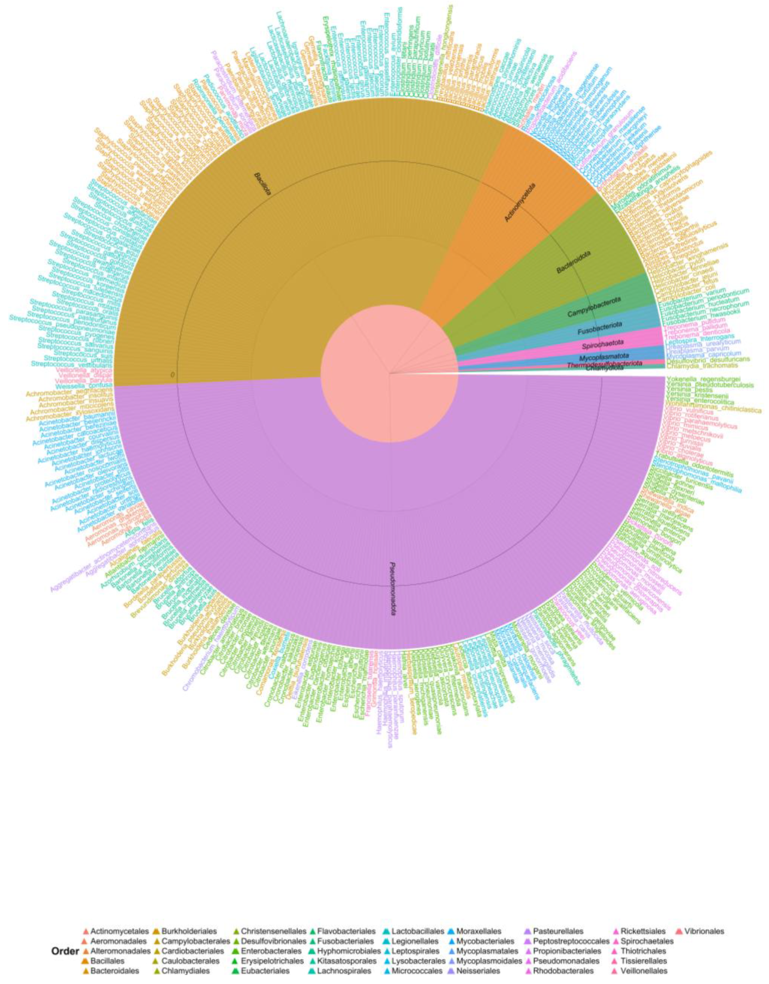 Animals 15 03126 g003