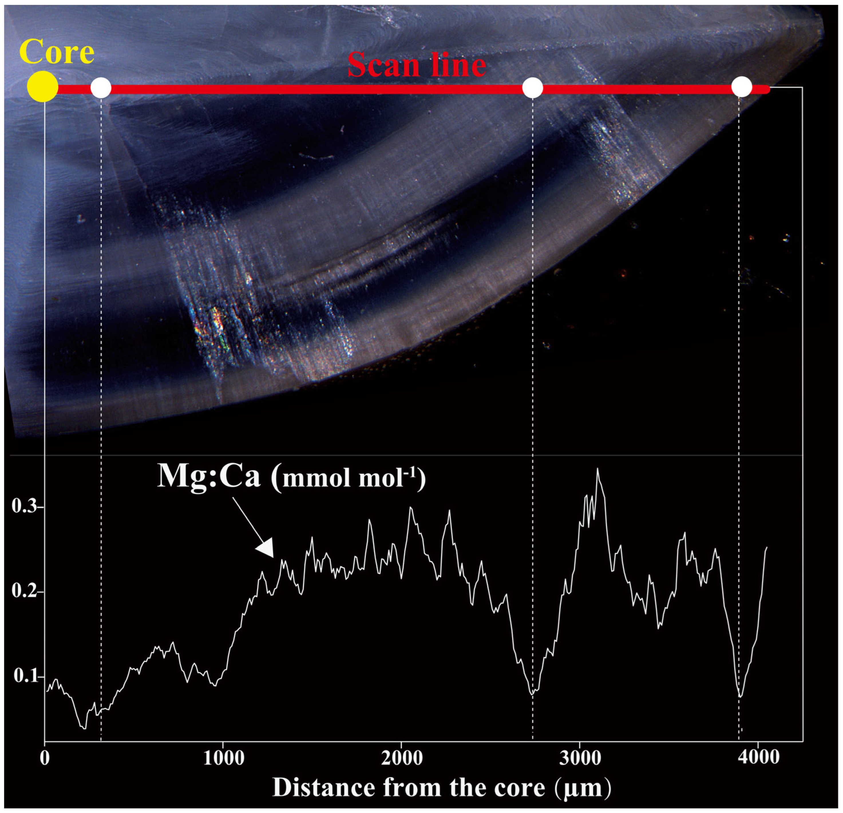 Animals 15 03129 g002 Animals 15 03129 g002