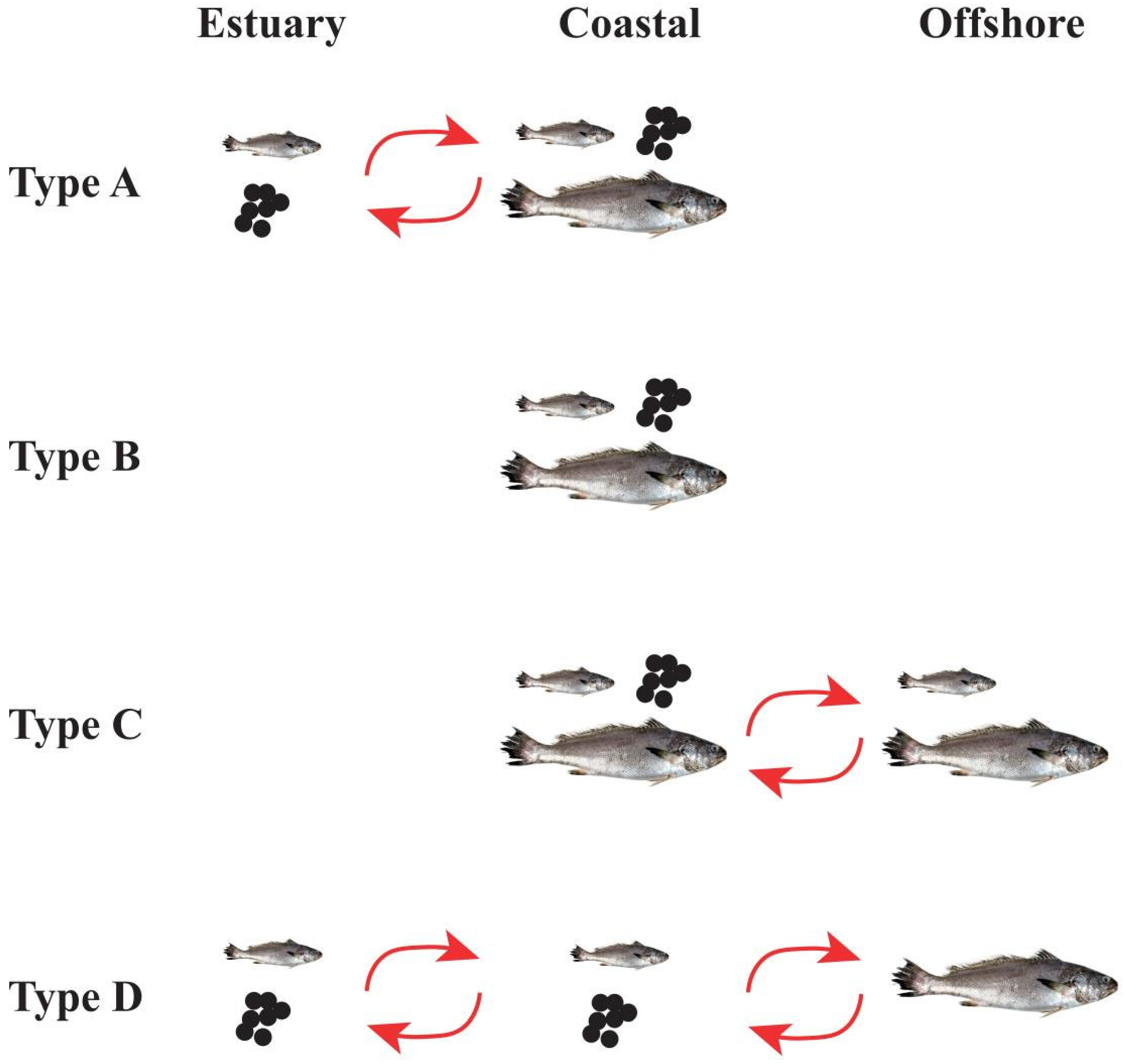 Animals 15 03129 g006 Animals 15 03129 g006