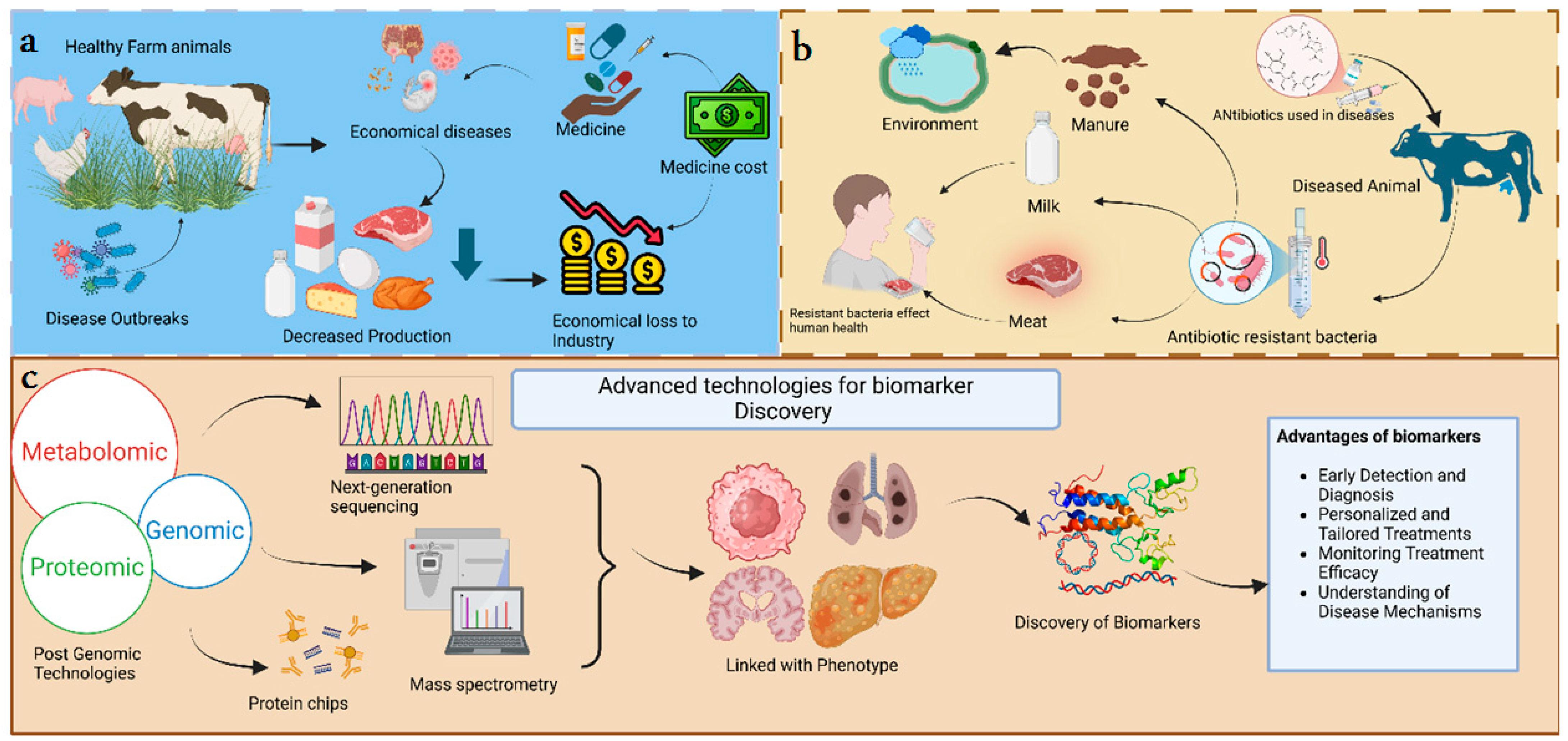 Animals 15 03132 g001