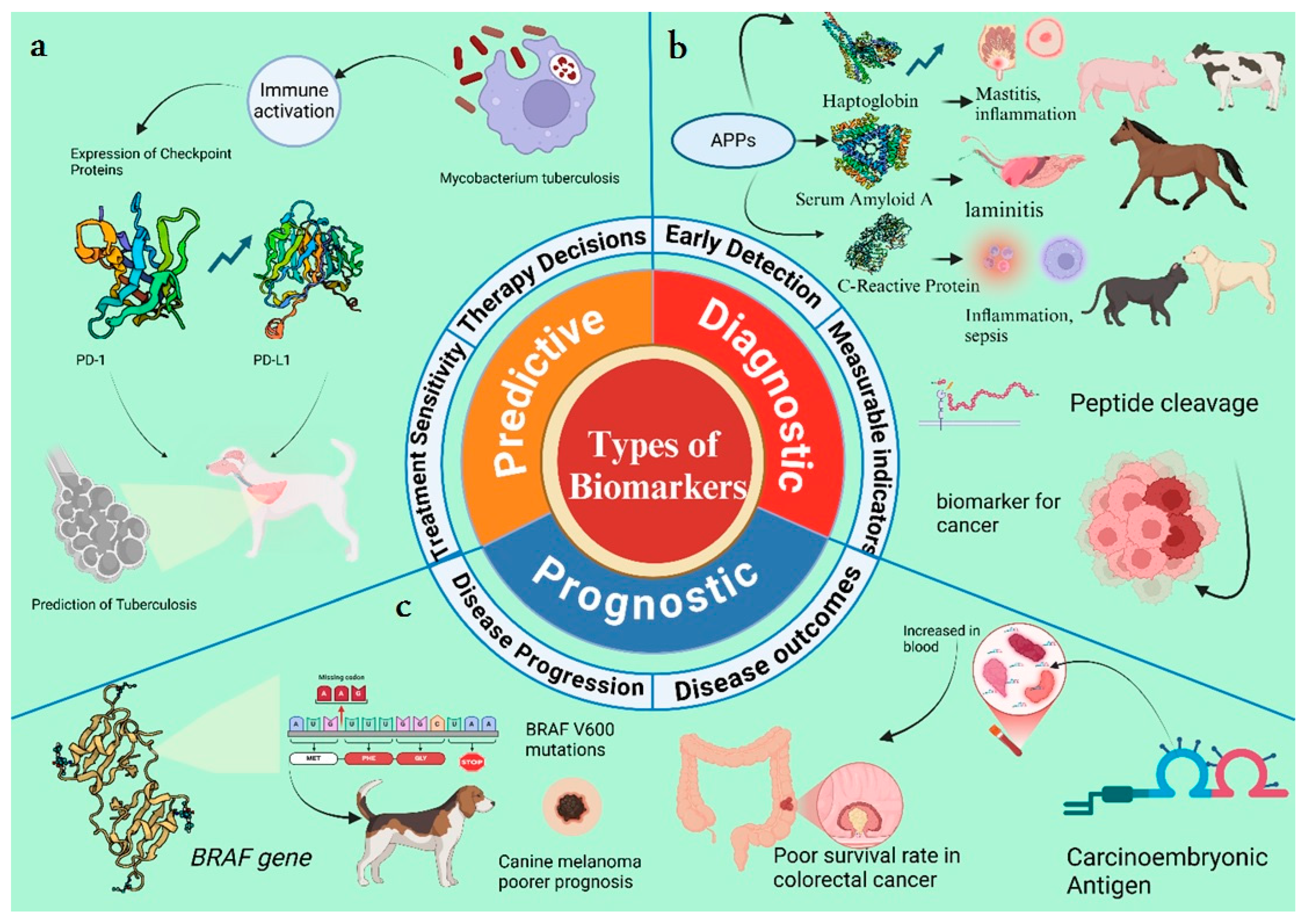 Animals 15 03132 g003