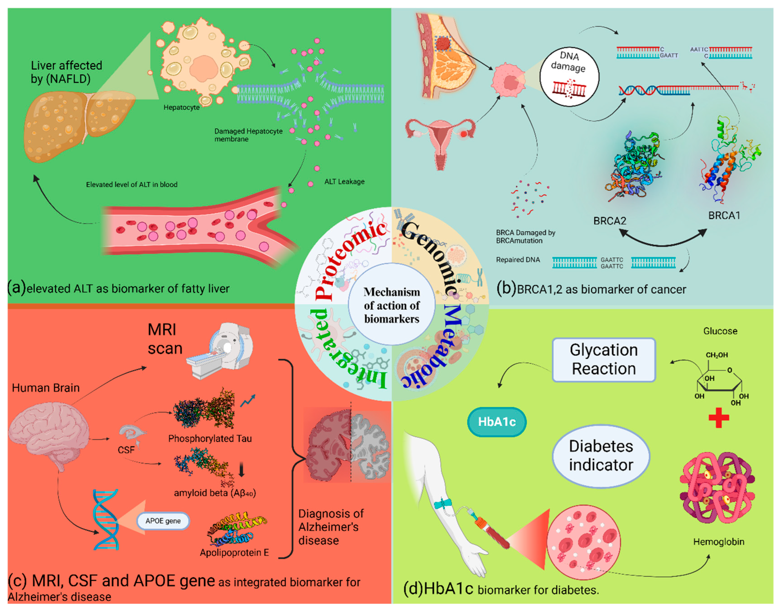 Animals 15 03132 g004