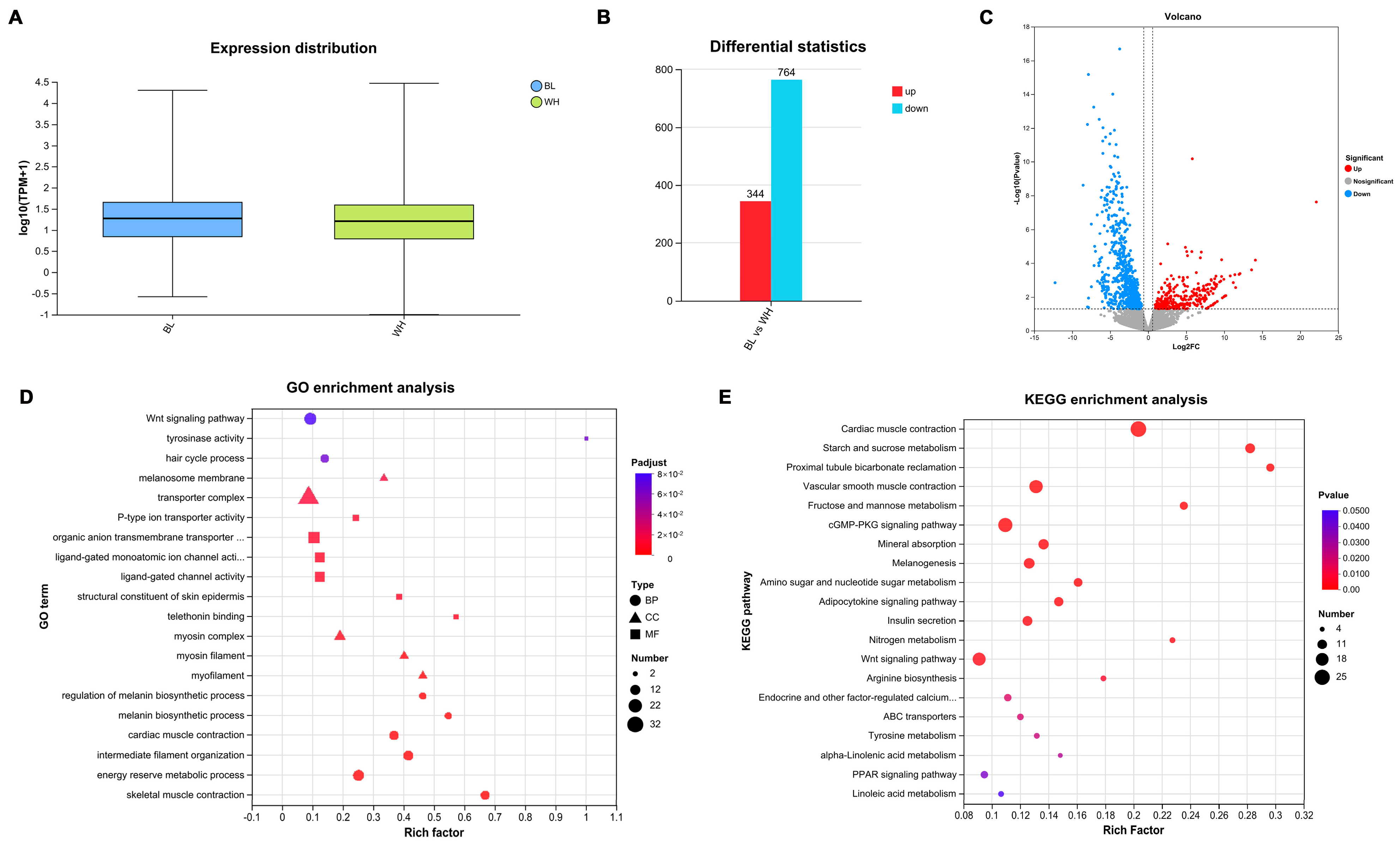 Animals 15 03135 g001