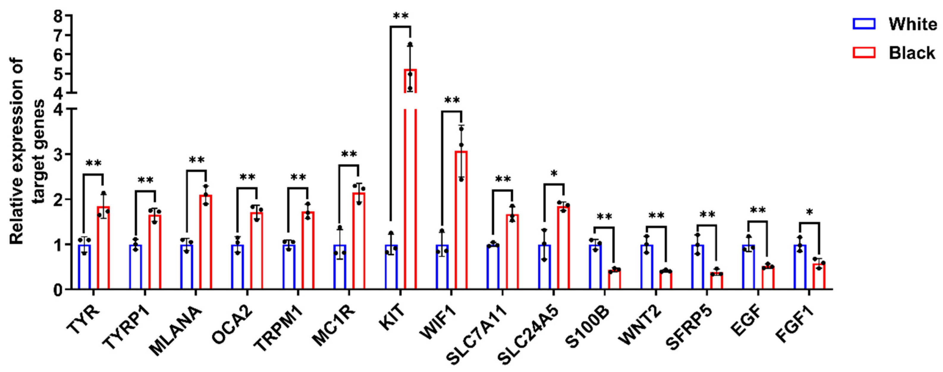 Animals 15 03135 g002