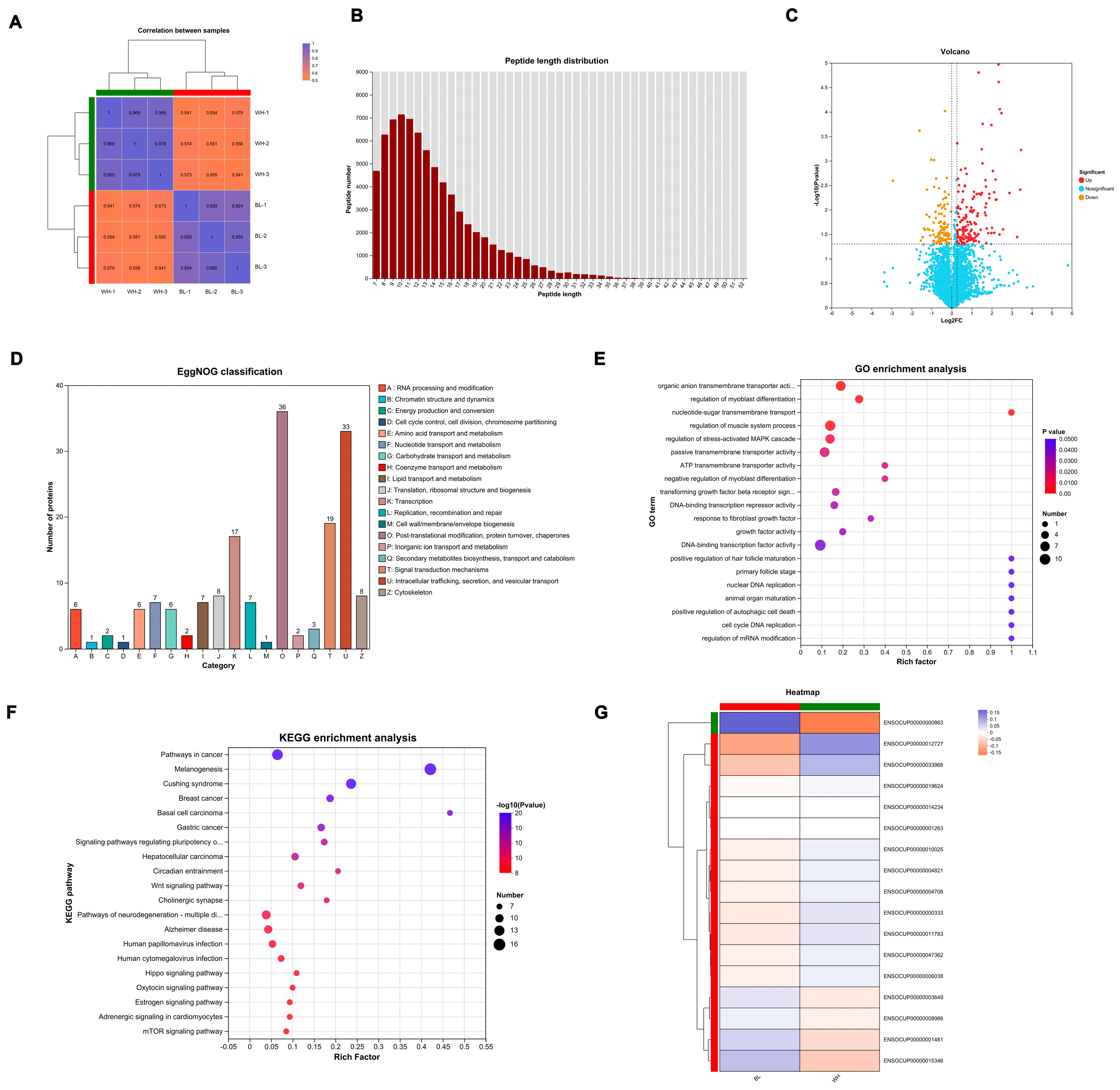 Animals 15 03135 g003