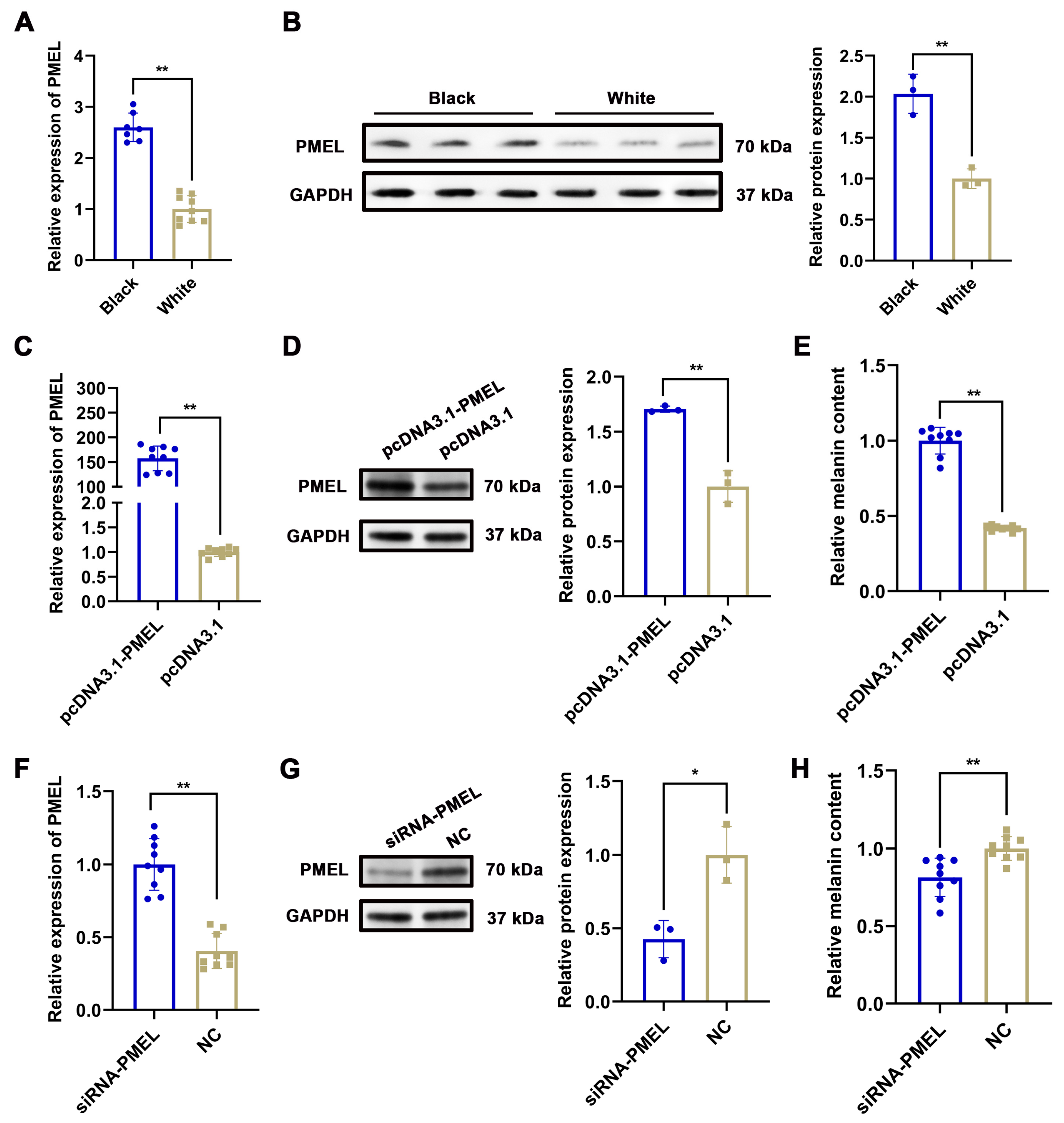 Animals 15 03135 g005