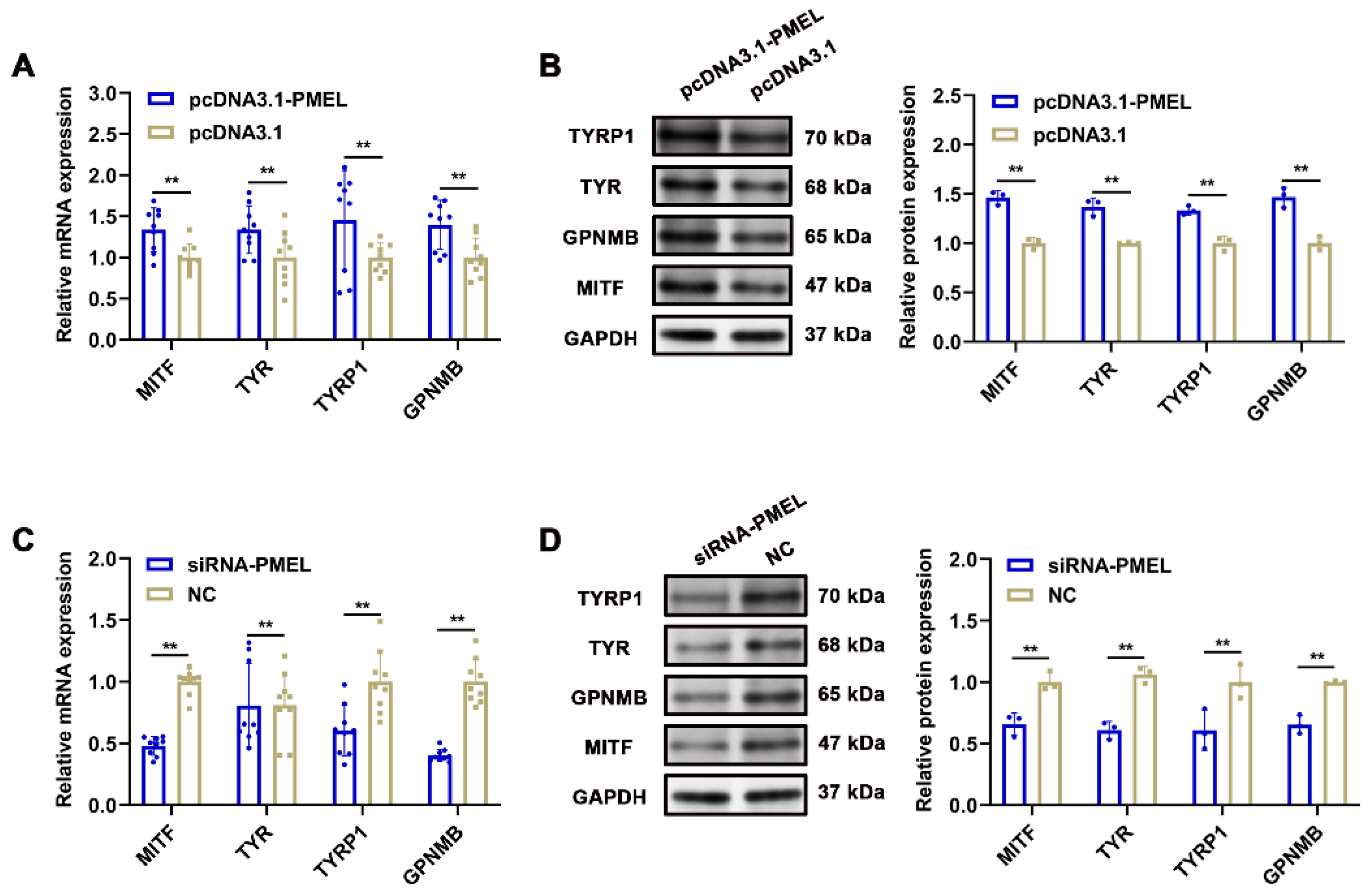 Animals 15 03135 g007