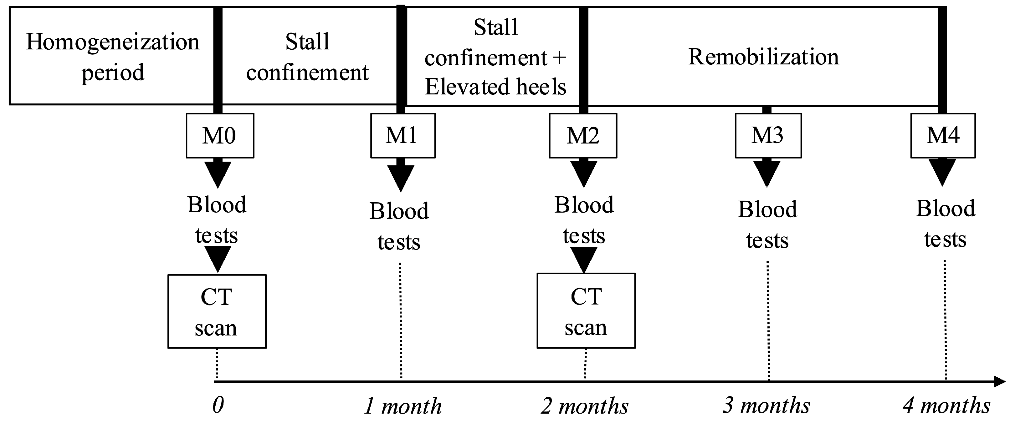 Animals 15 03137 g001