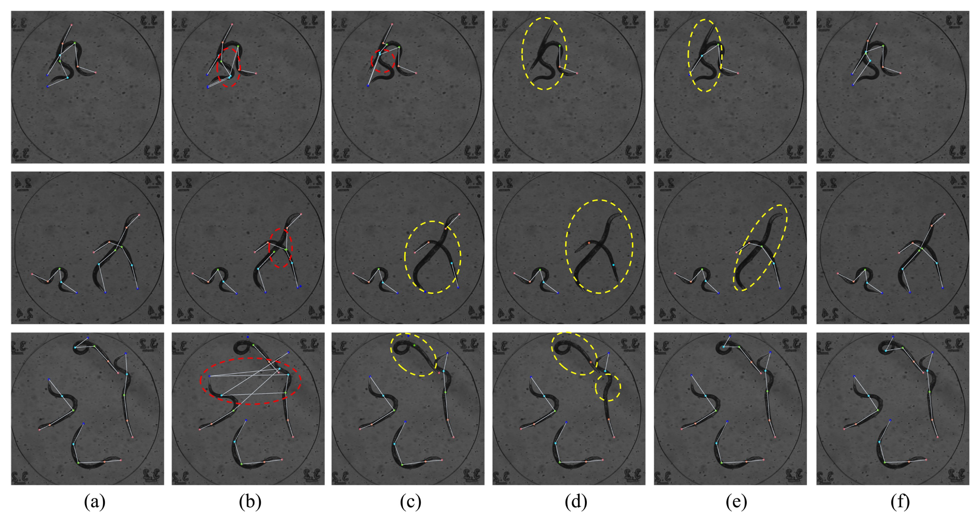 Animals 15 03139 g005