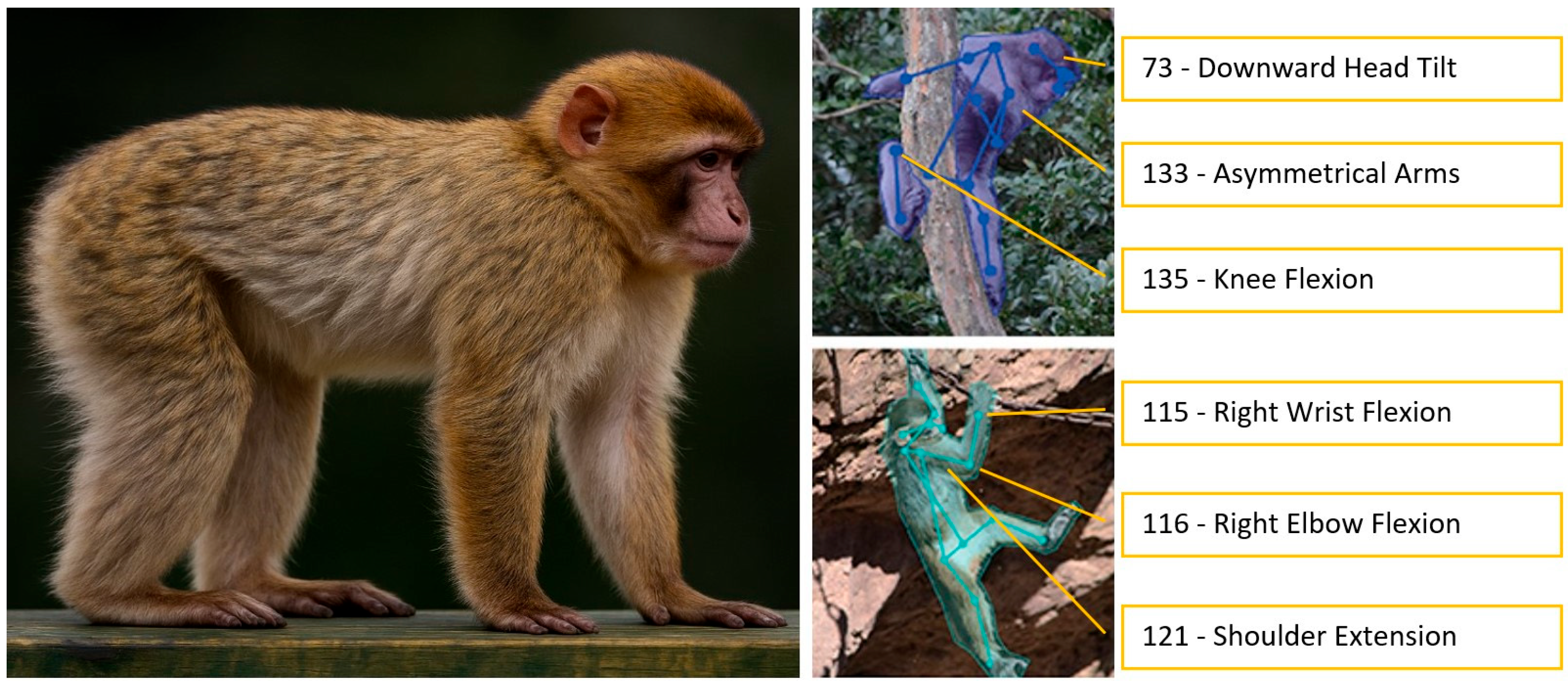 Animals 15 03142 g003 Animals 15 03142 g003