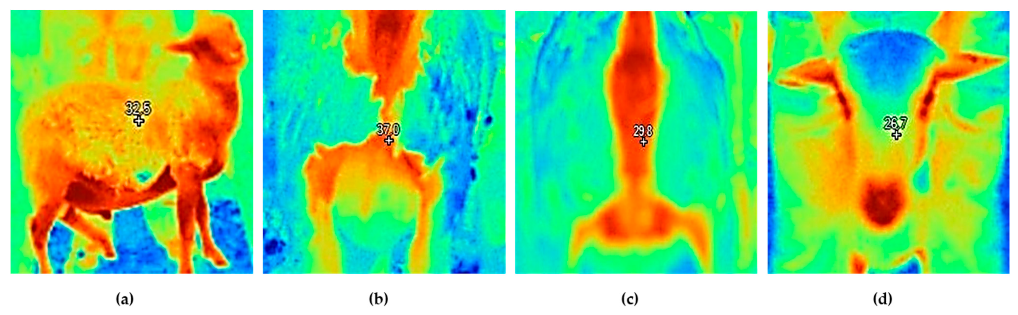 Animals 15 03143 g002 Animals 15 03143 g002