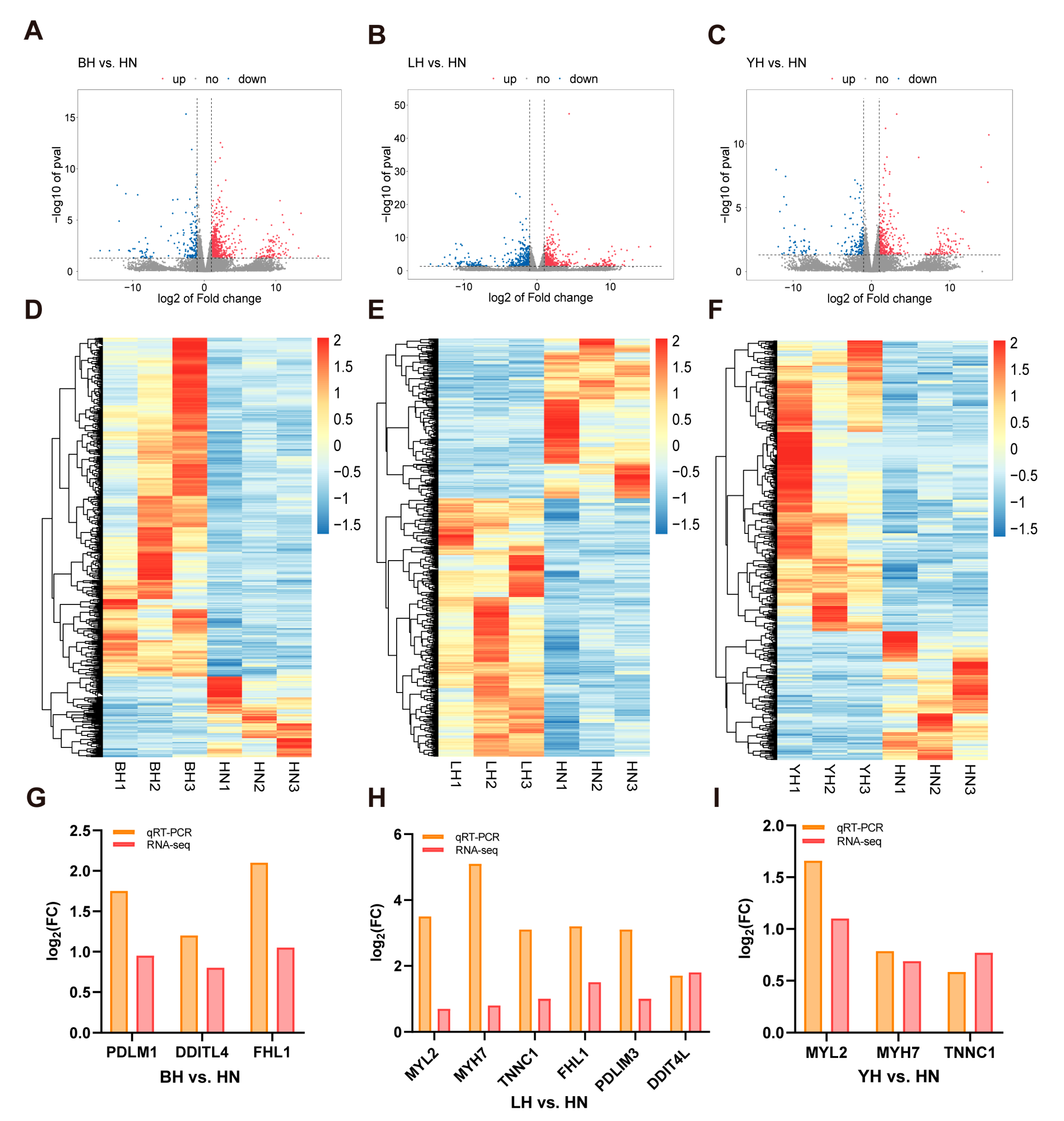 Animals 15 03144 g002 Animals 15 03144 g002