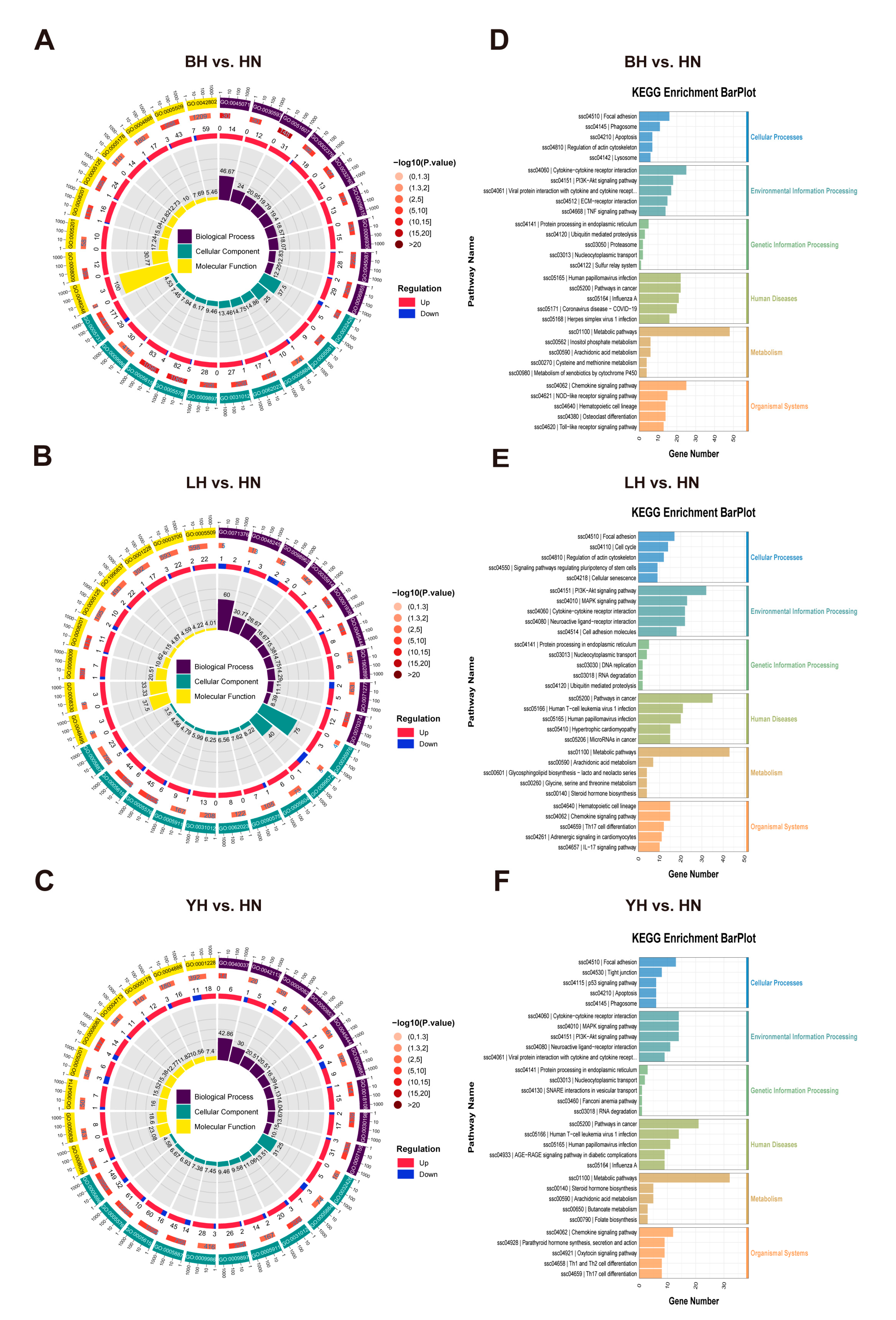 Animals 15 03144 g003 Animals 15 03144 g003