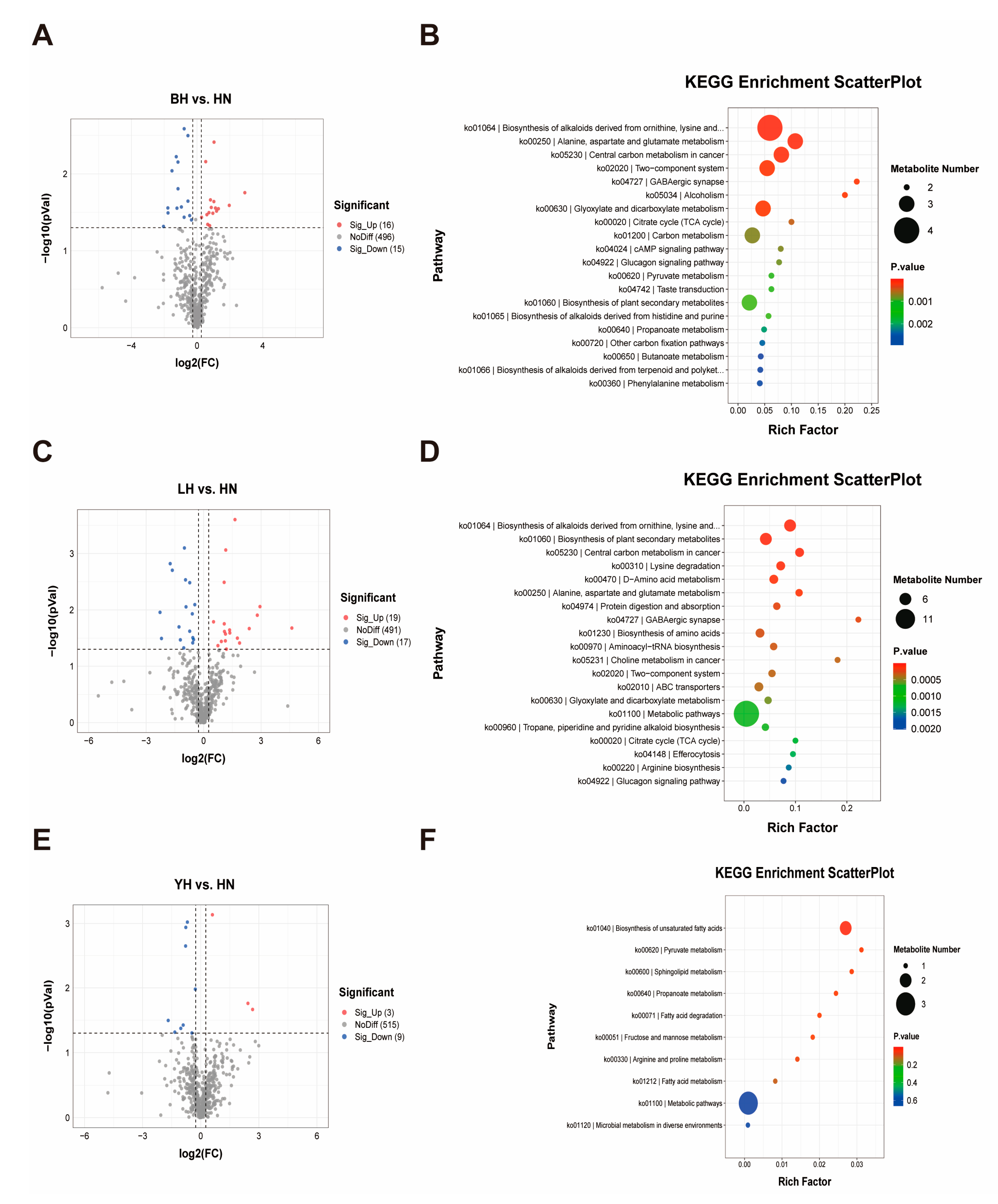 Animals 15 03144 g004 Animals 15 03144 g004