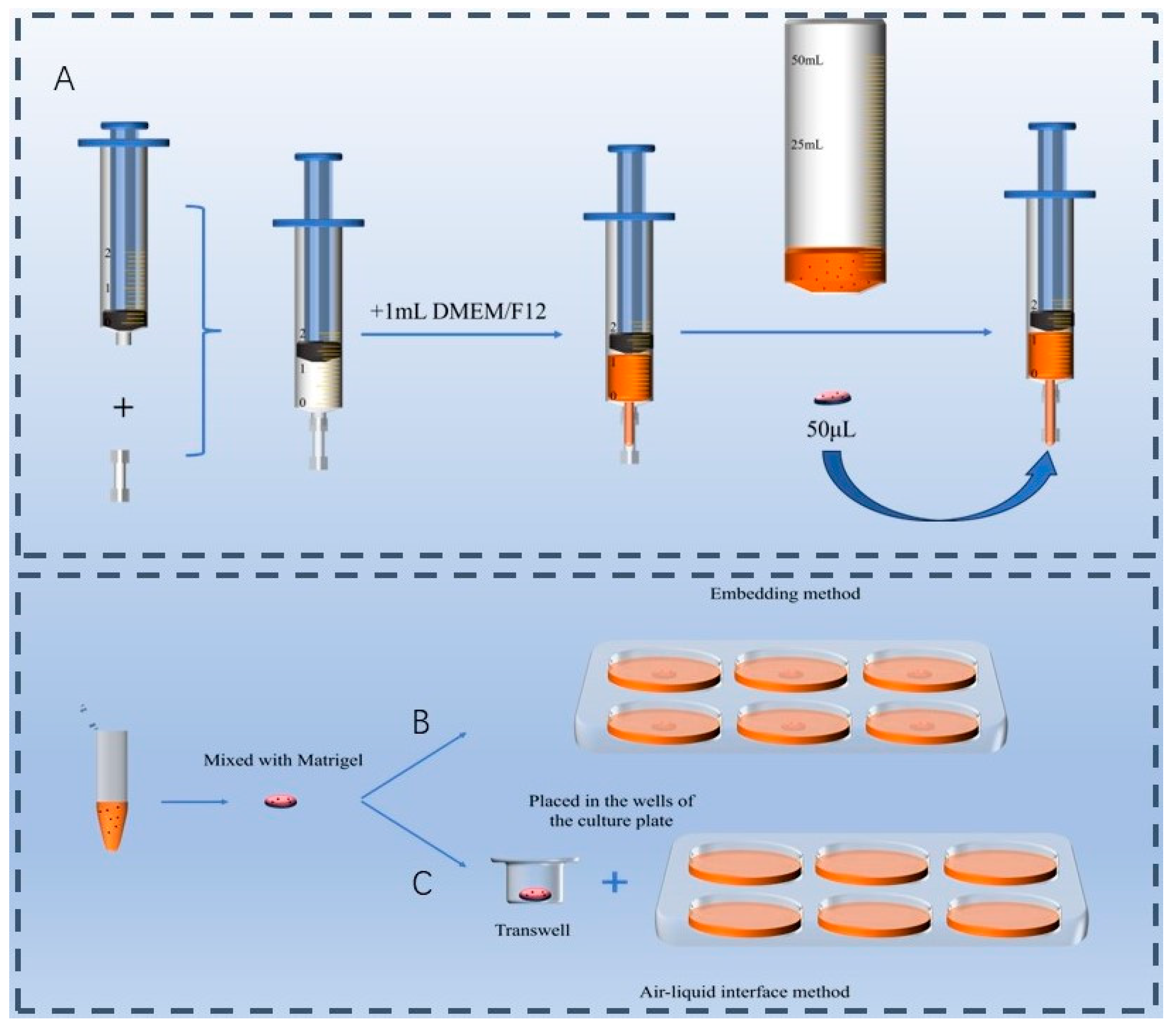 Animals 15 03145 g001 Animals 15 03145 g001