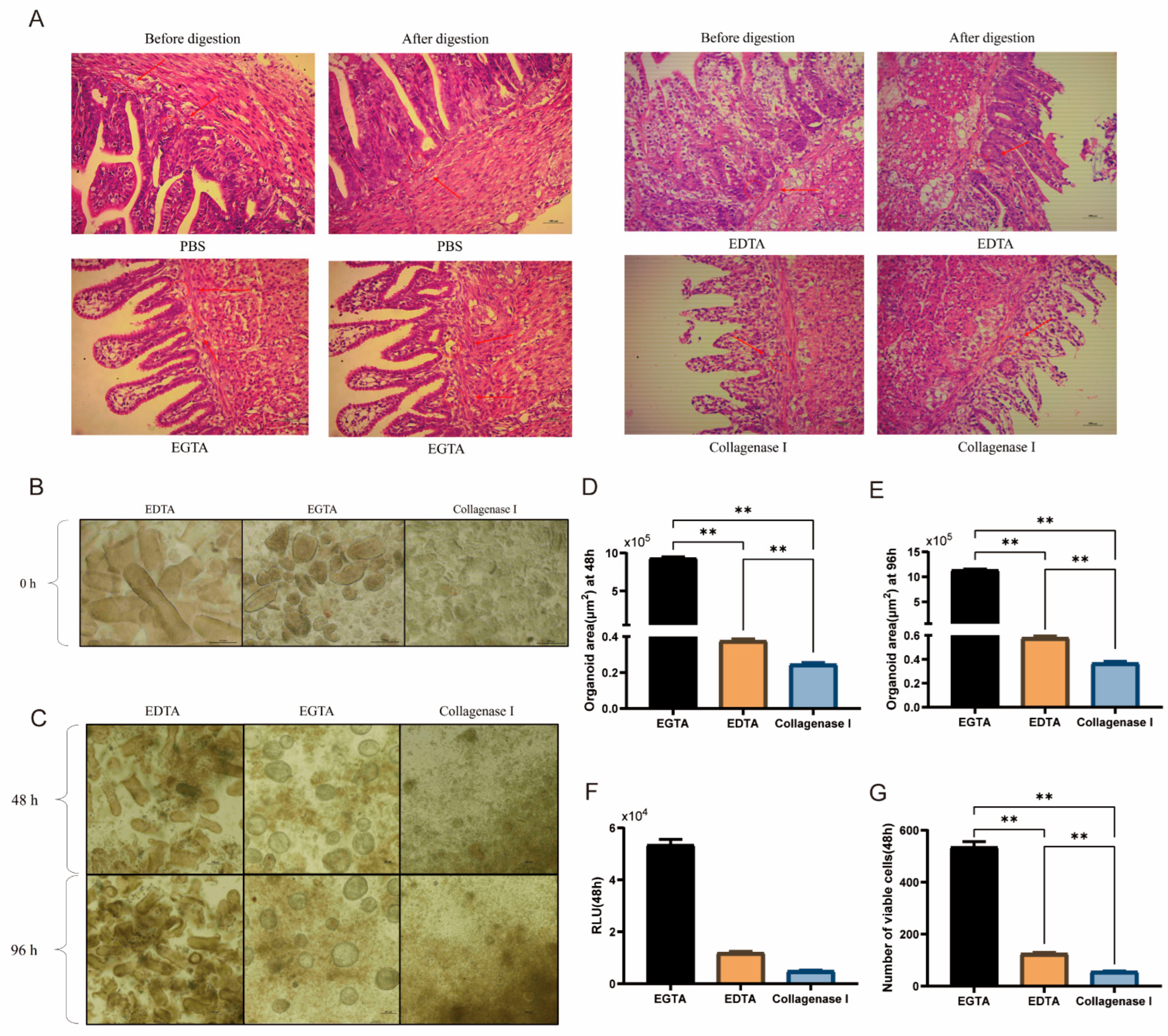 Animals 15 03145 g002 Animals 15 03145 g002