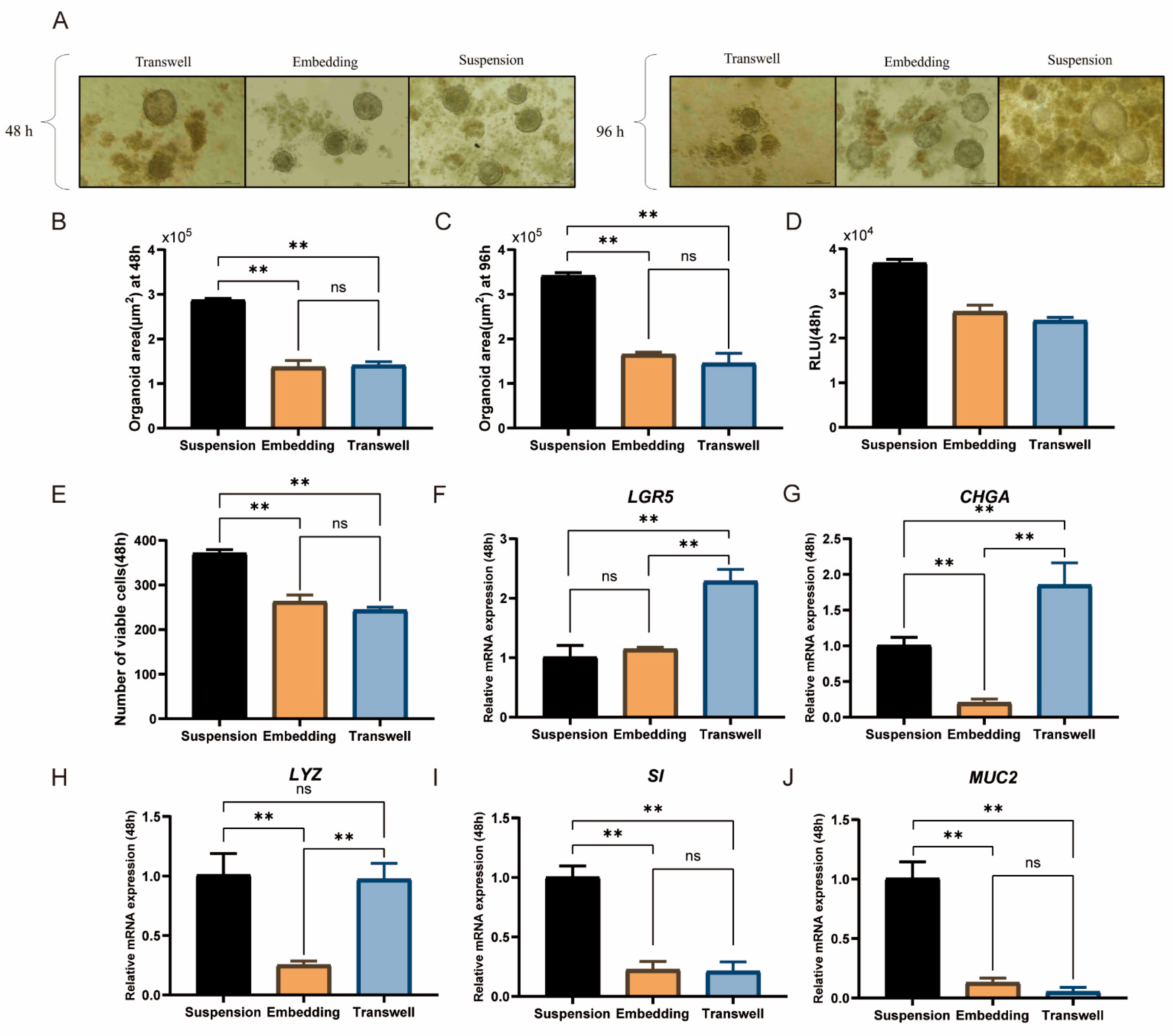 Animals 15 03145 g003 Animals 15 03145 g003