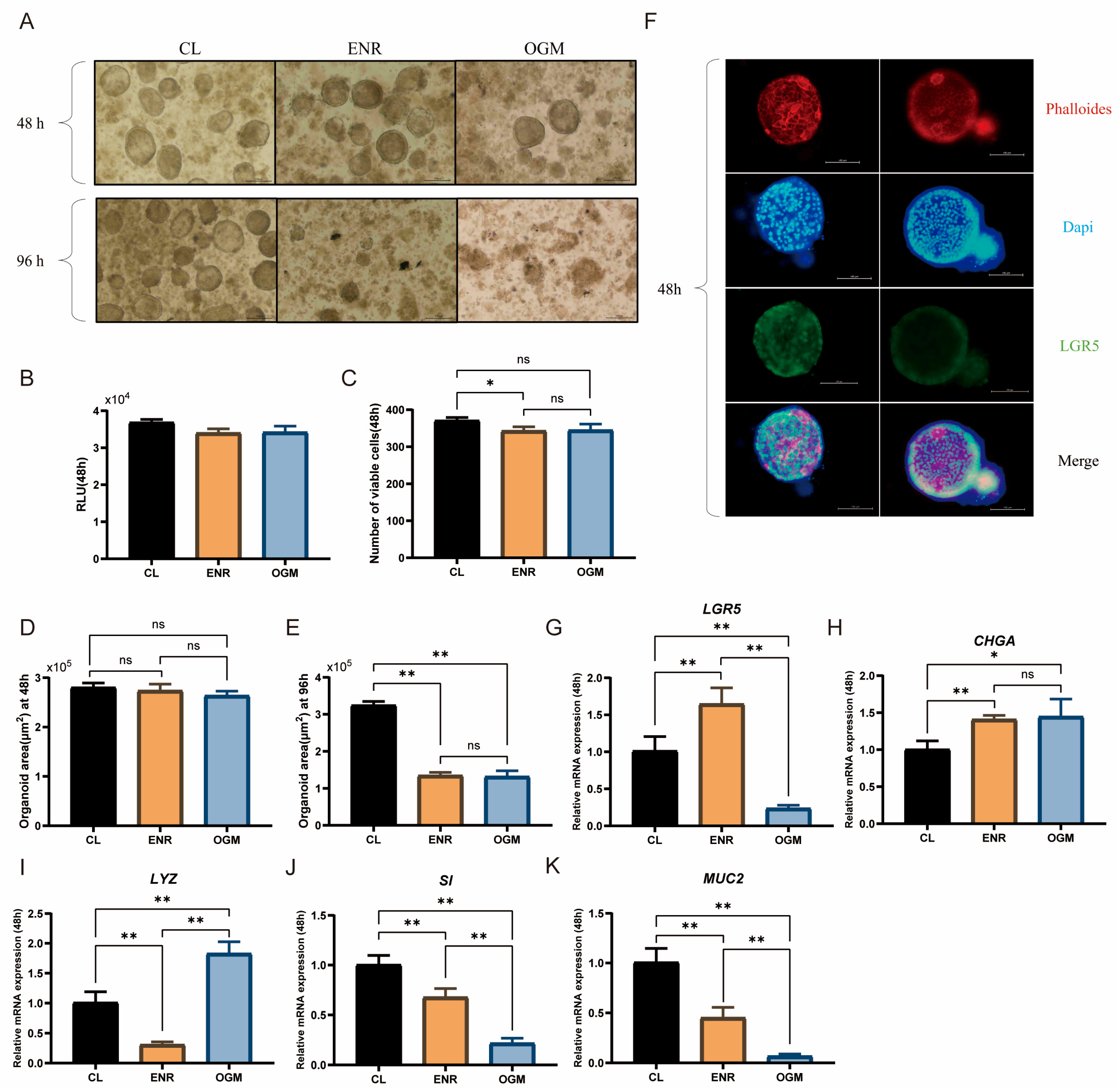 Animals 15 03145 g004 Animals 15 03145 g004