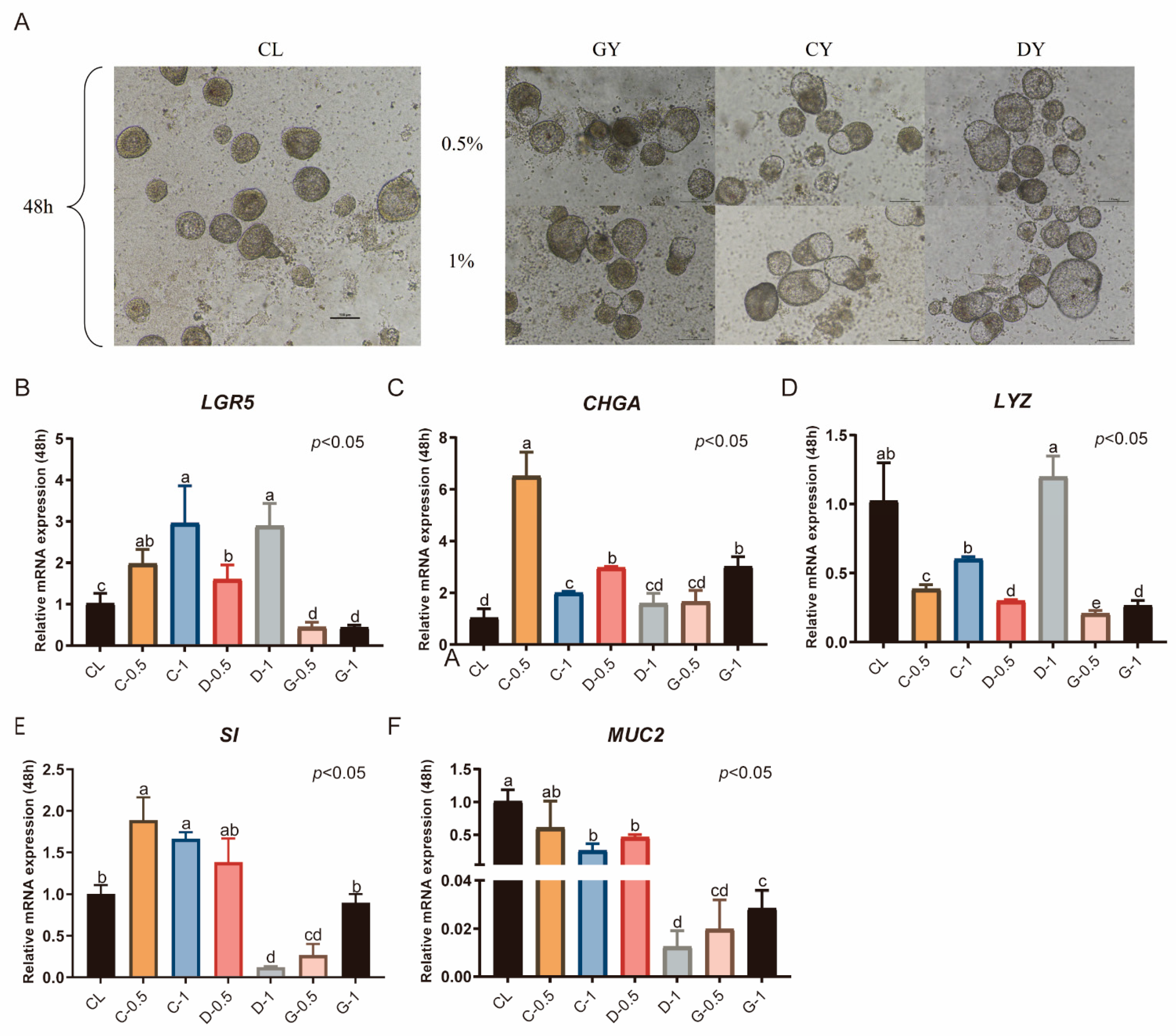 Animals 15 03145 g005 Animals 15 03145 g005