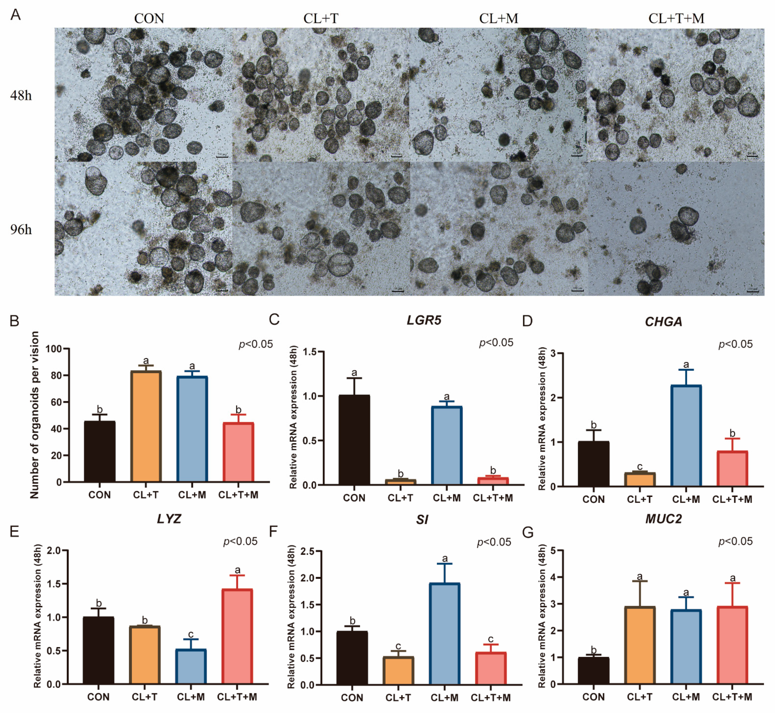 Animals 15 03145 g007 Animals 15 03145 g007