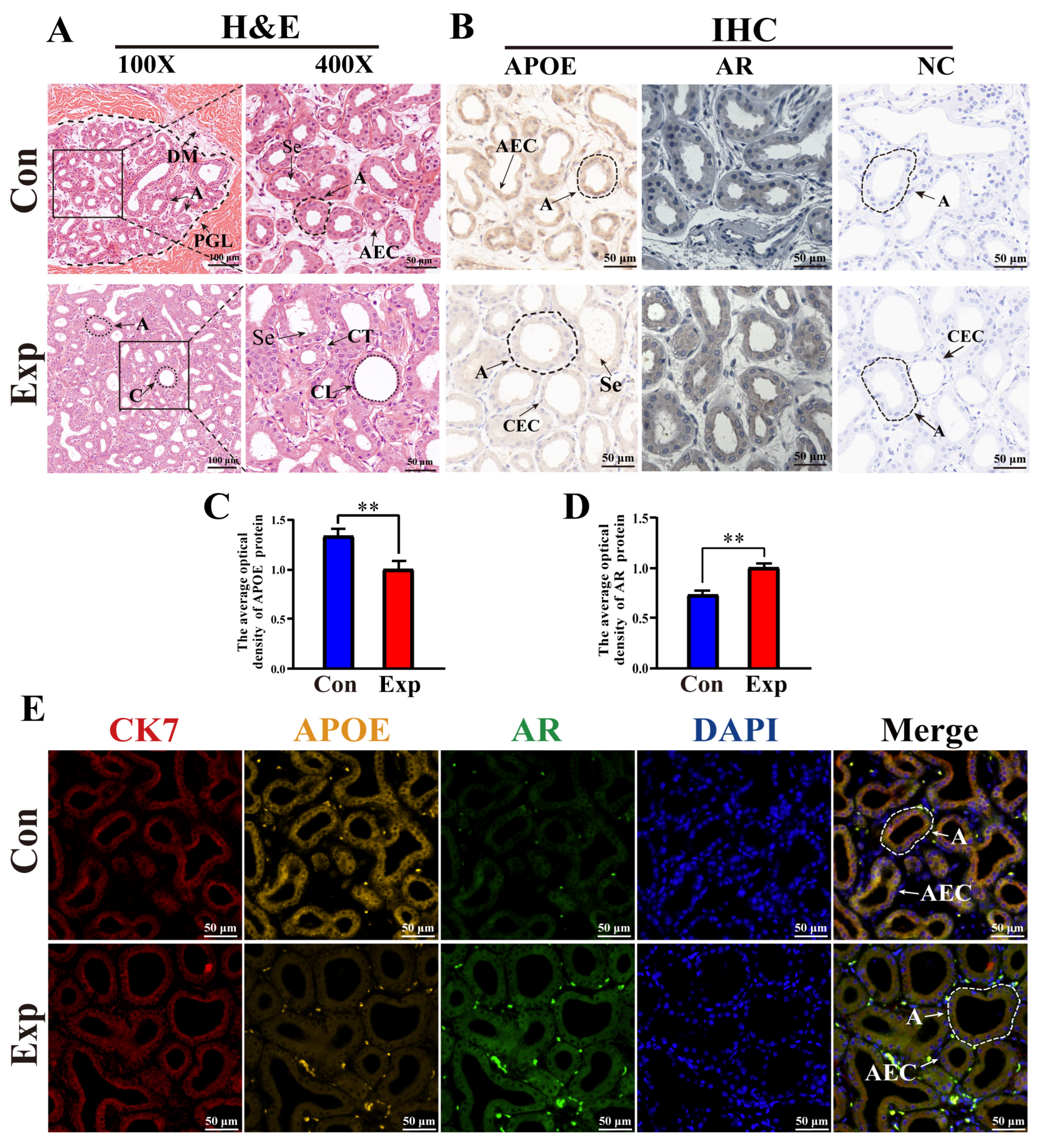 Animals 15 03147 g005 Animals 15 03147 g005