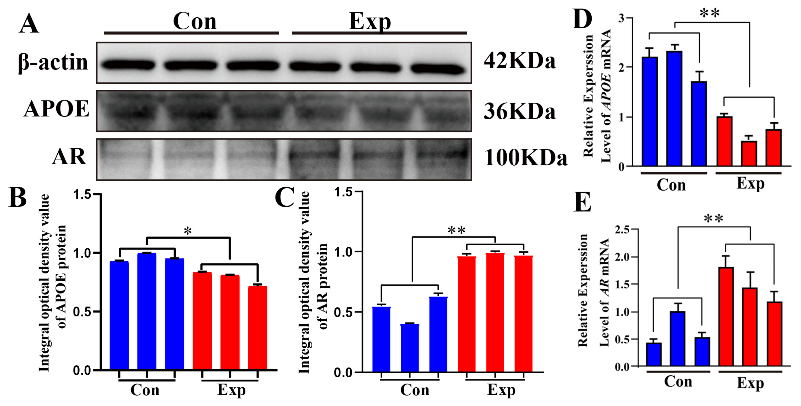 Animals 15 03147 g006 Animals 15 03147 g006