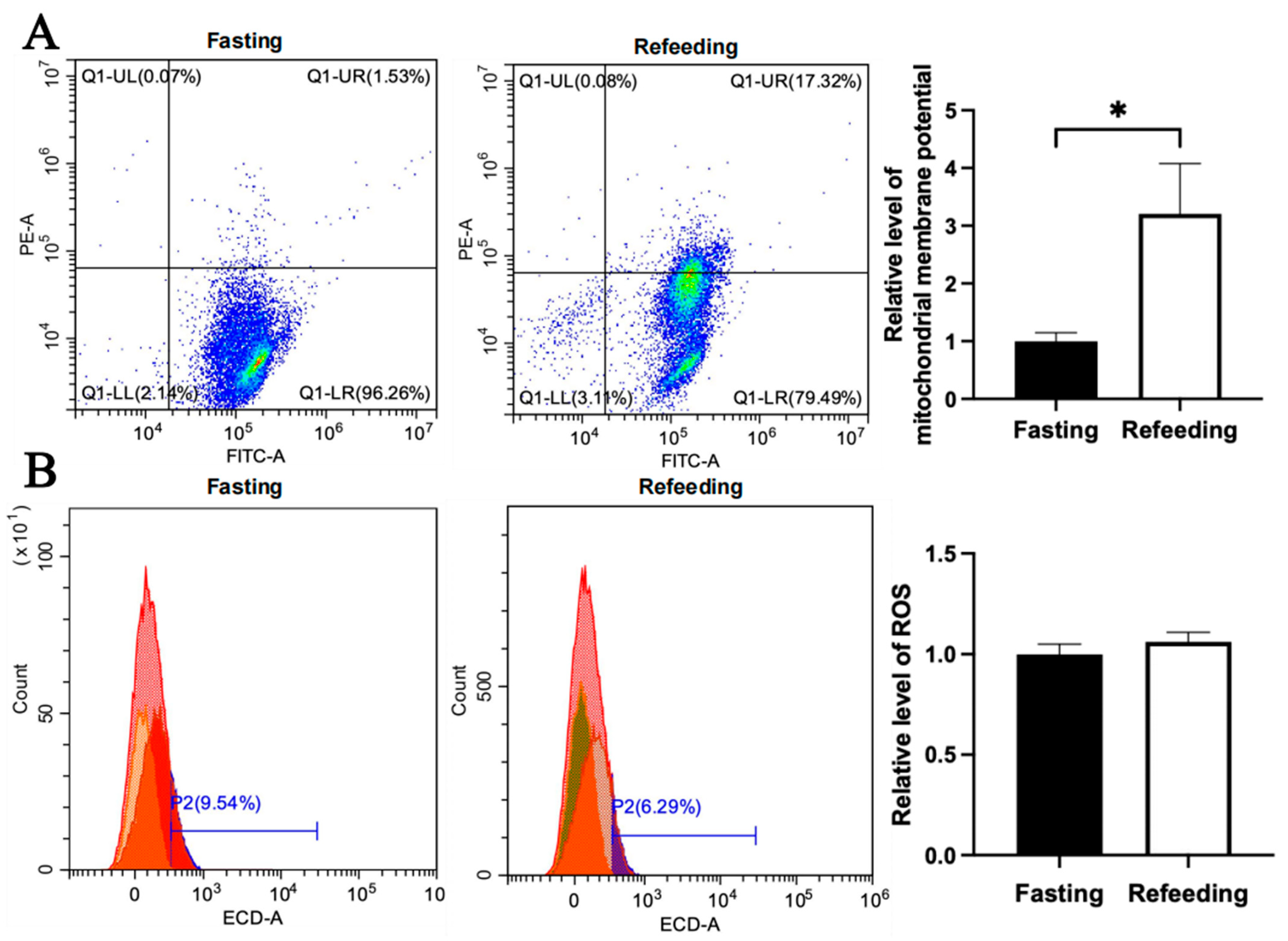 Animals 15 03151 g004
