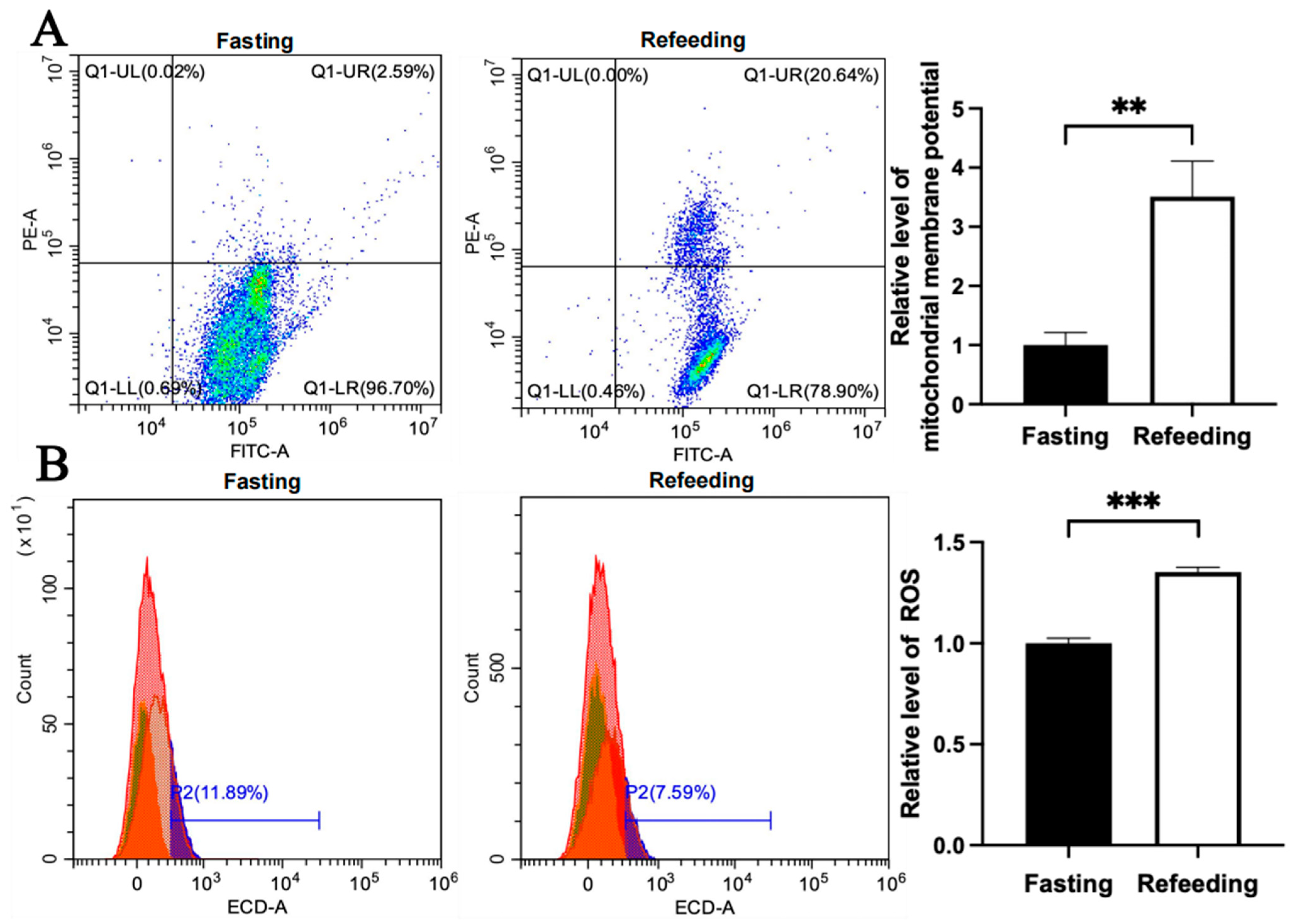Animals 15 03151 g005