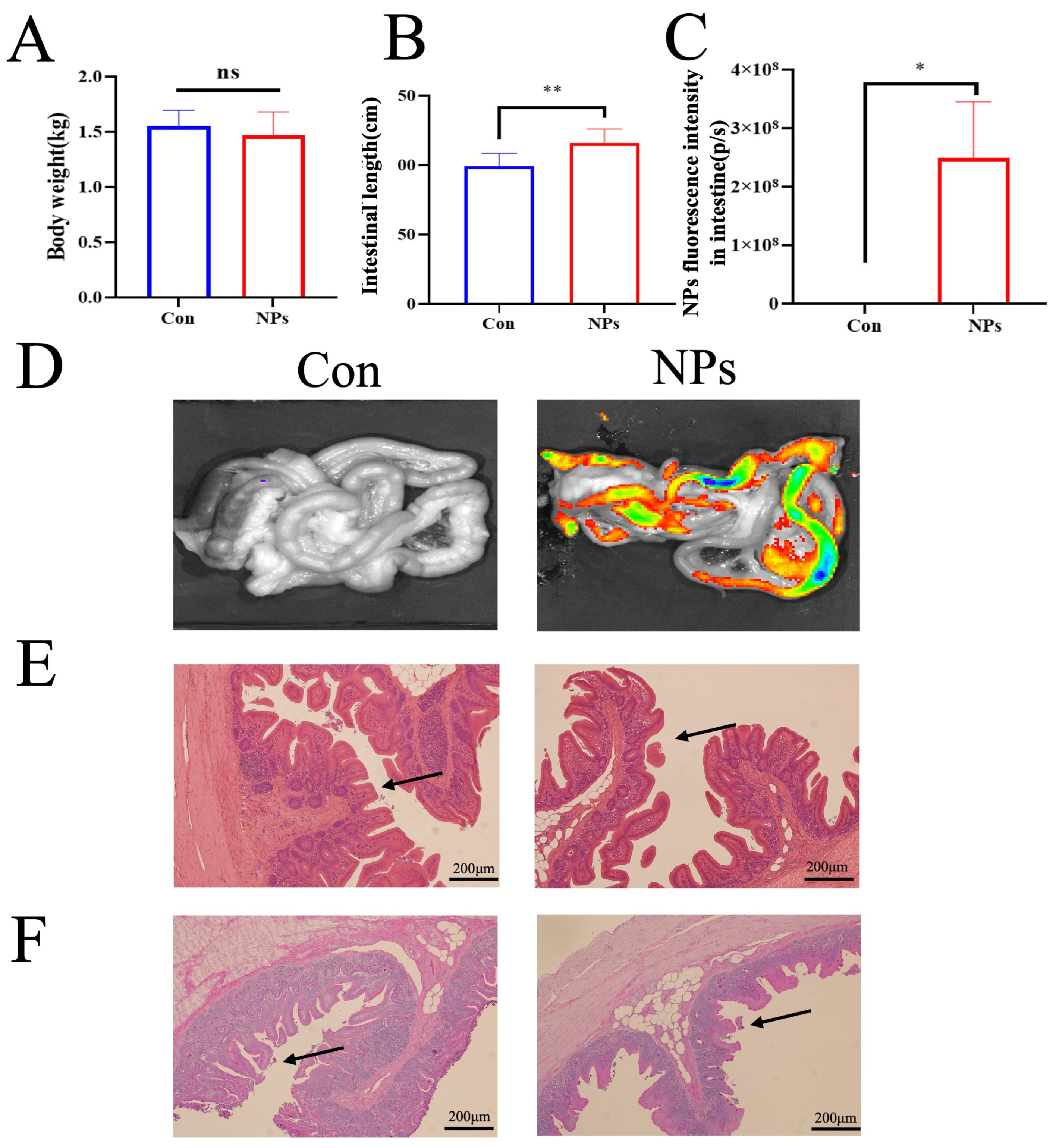 Animals 15 03154 g002