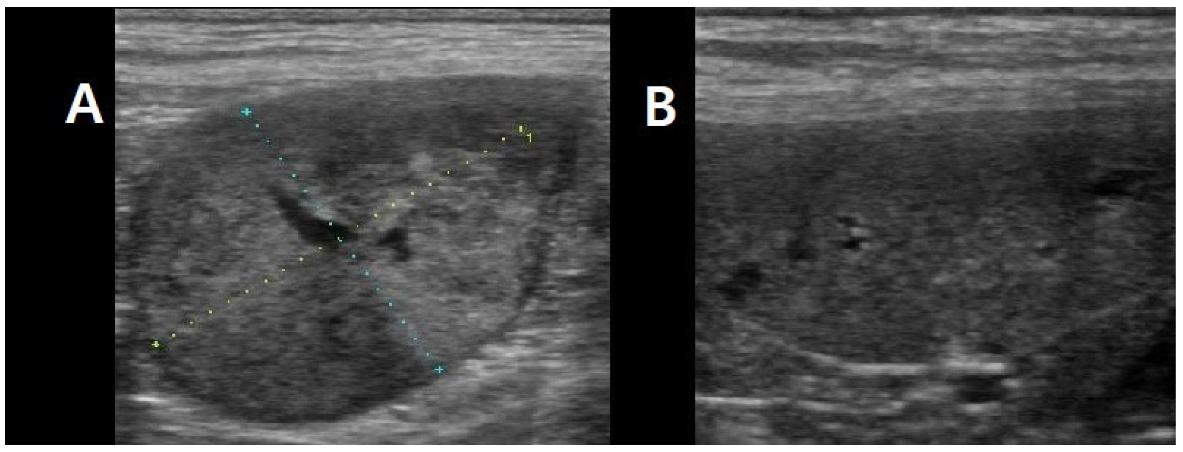 Animals 15 03159 g001