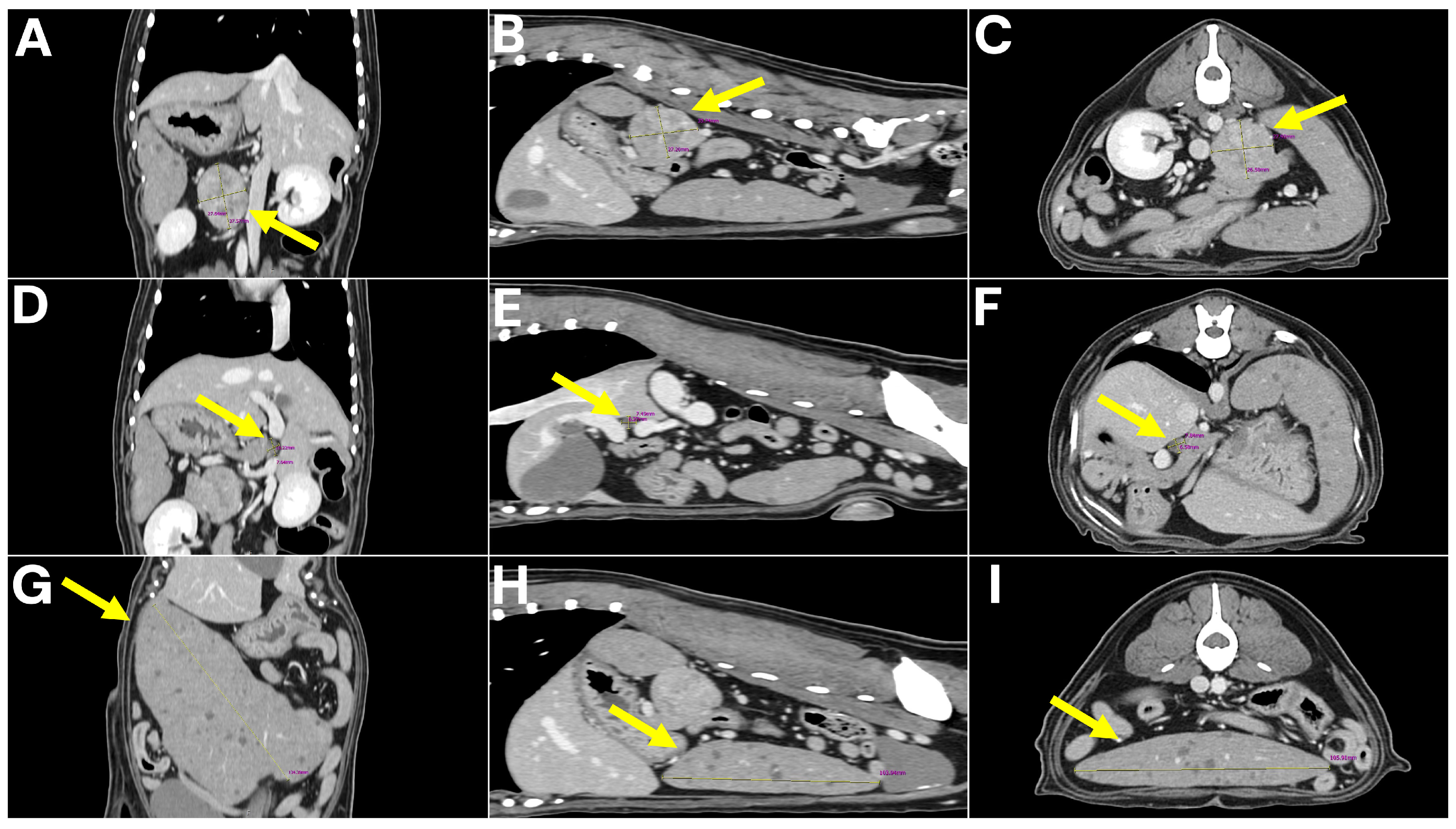 Animals 15 03159 g002