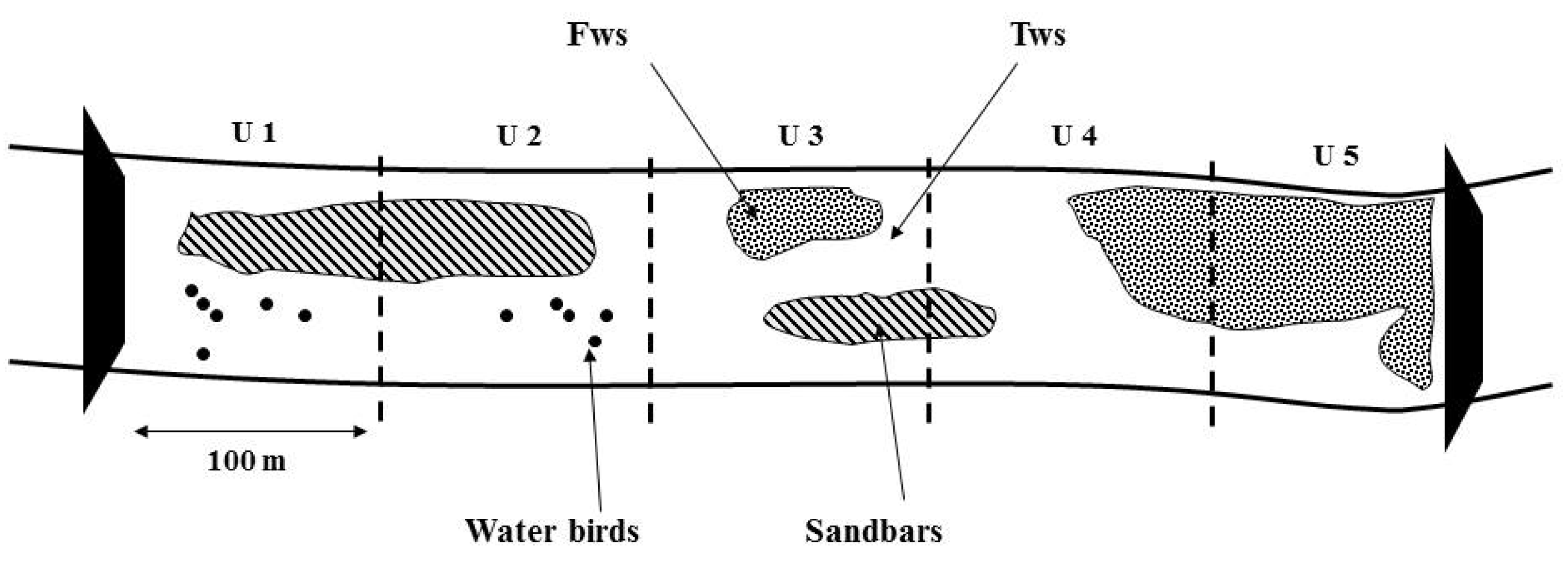 Animals 15 03161 g002
