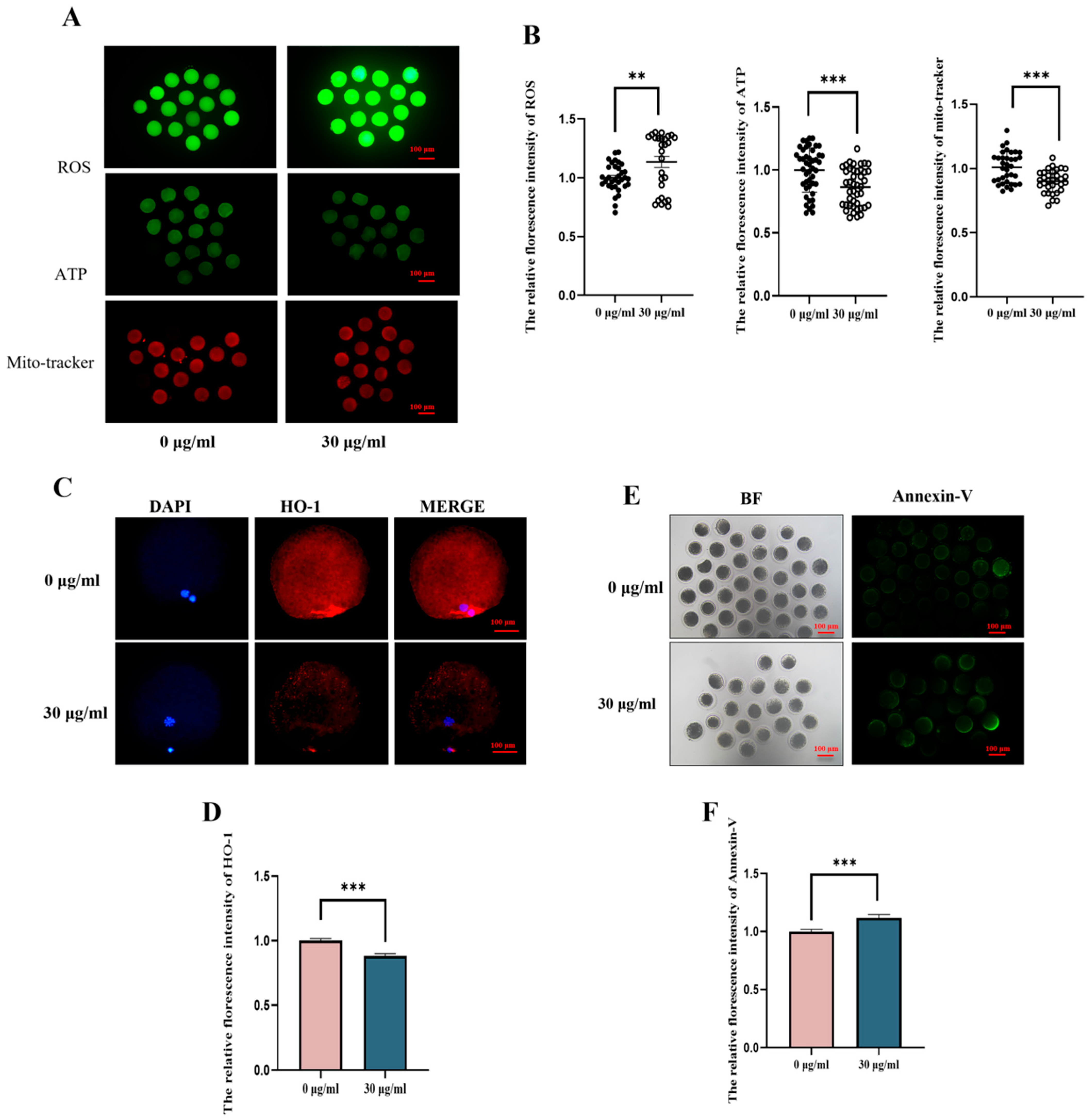 Animals 15 03163 g003