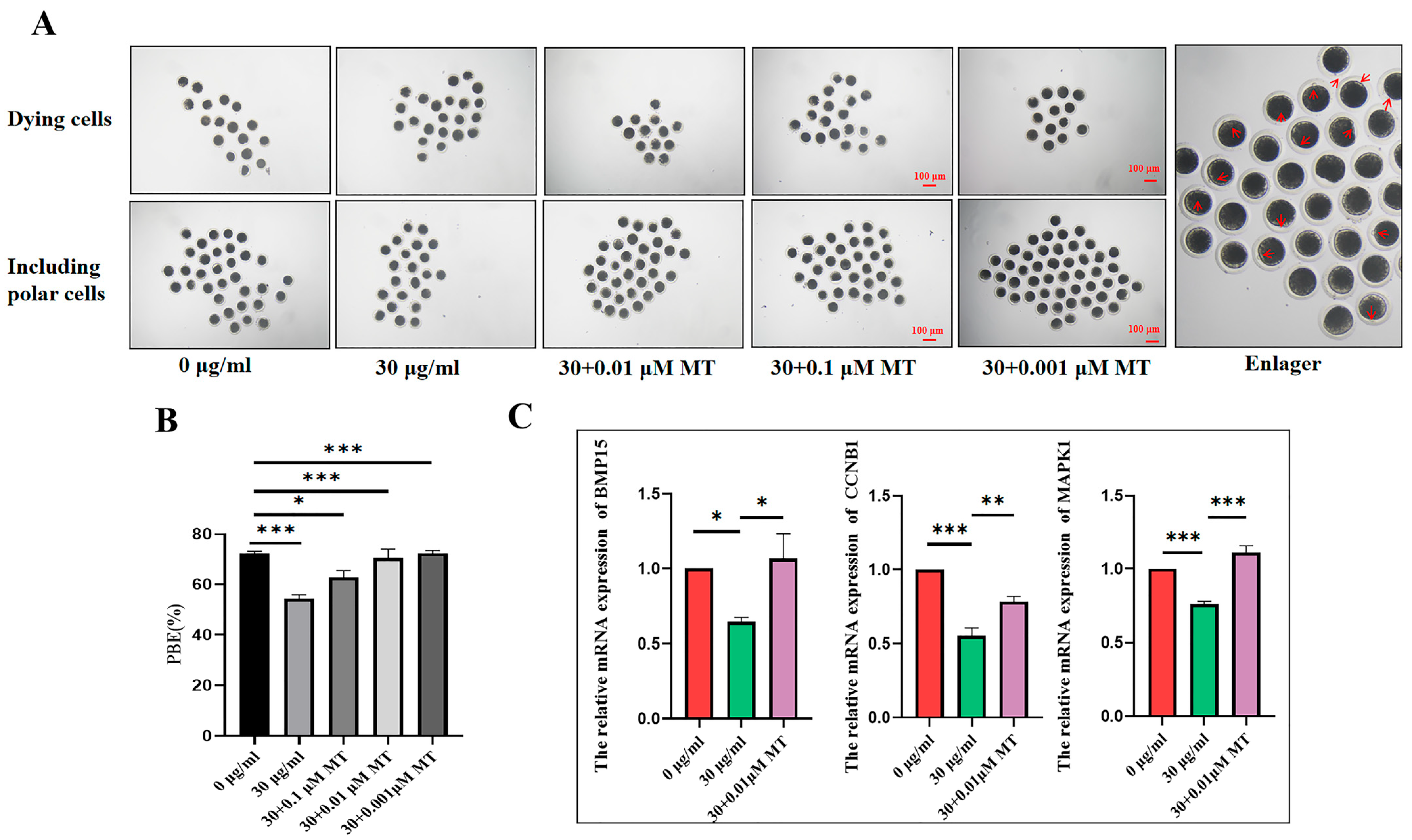 Animals 15 03163 g004