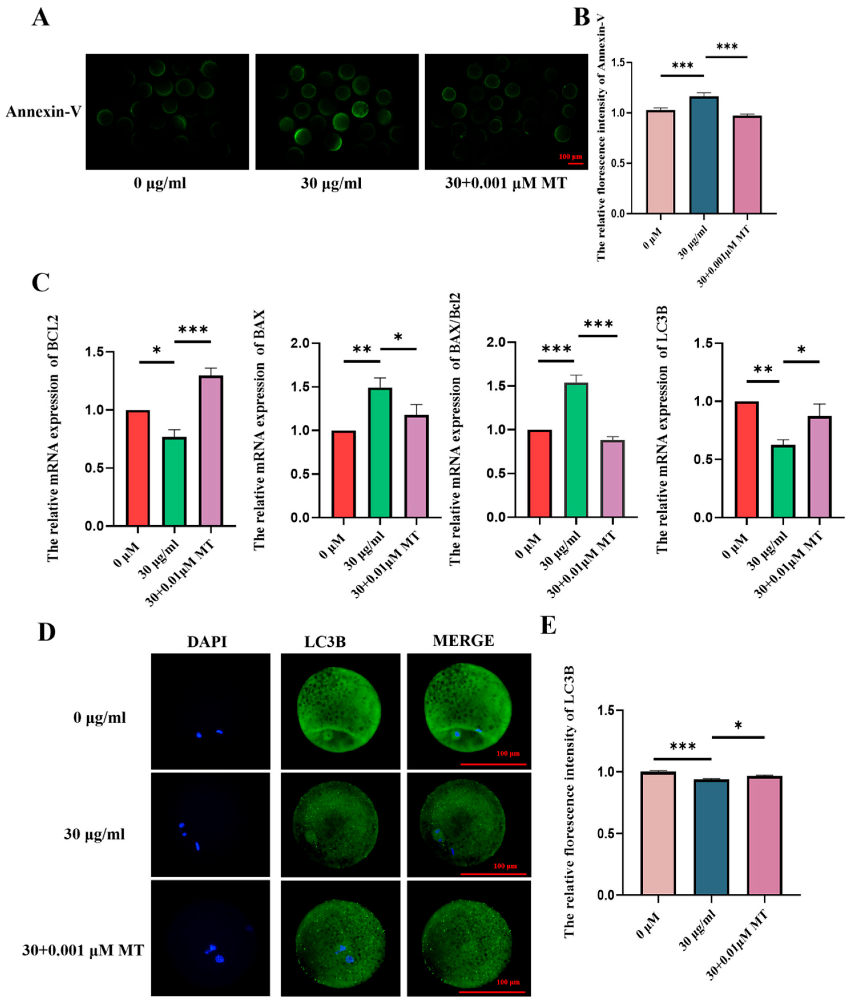 Animals 15 03163 g006