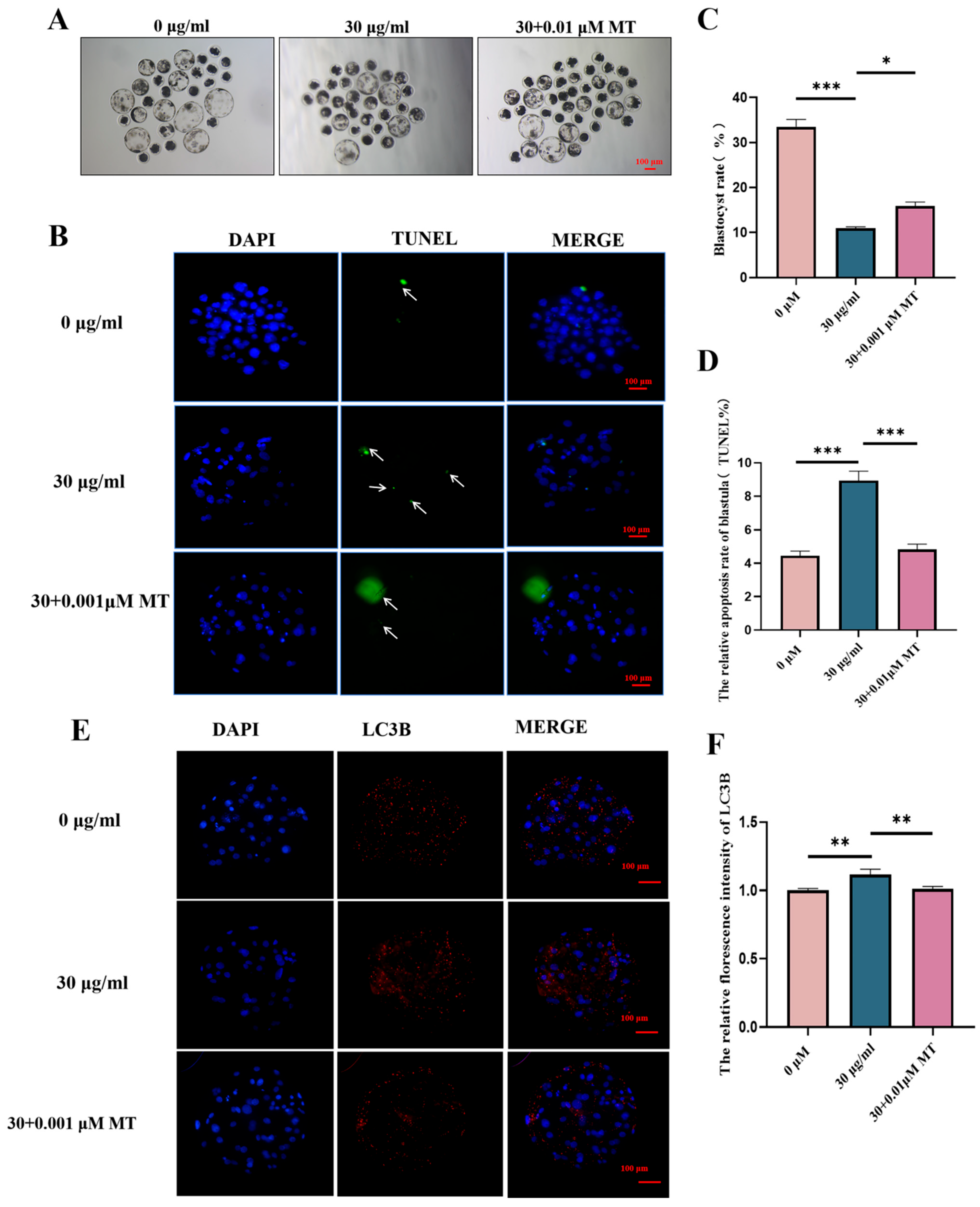 Animals 15 03163 g008