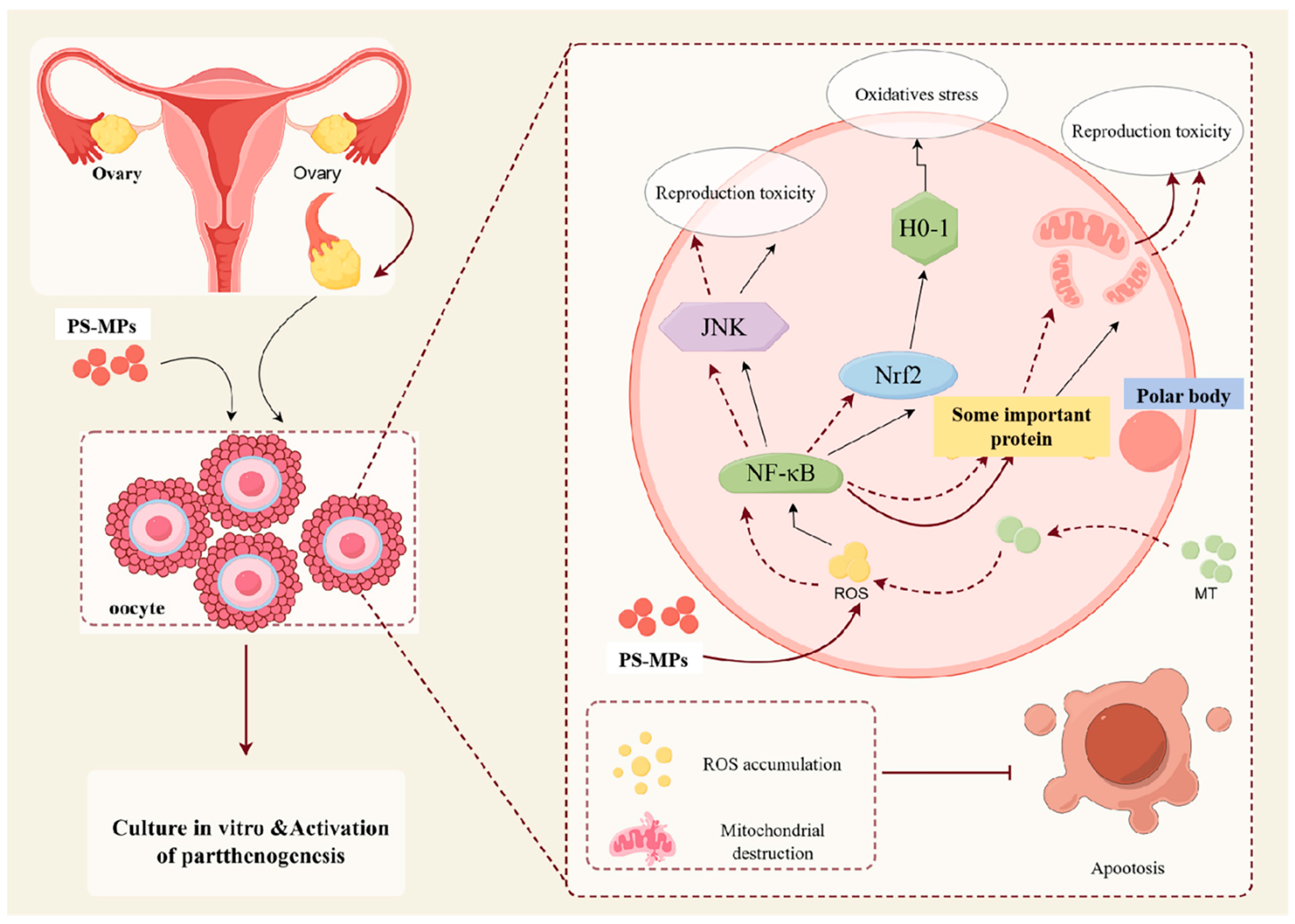 Animals 15 03163 g009