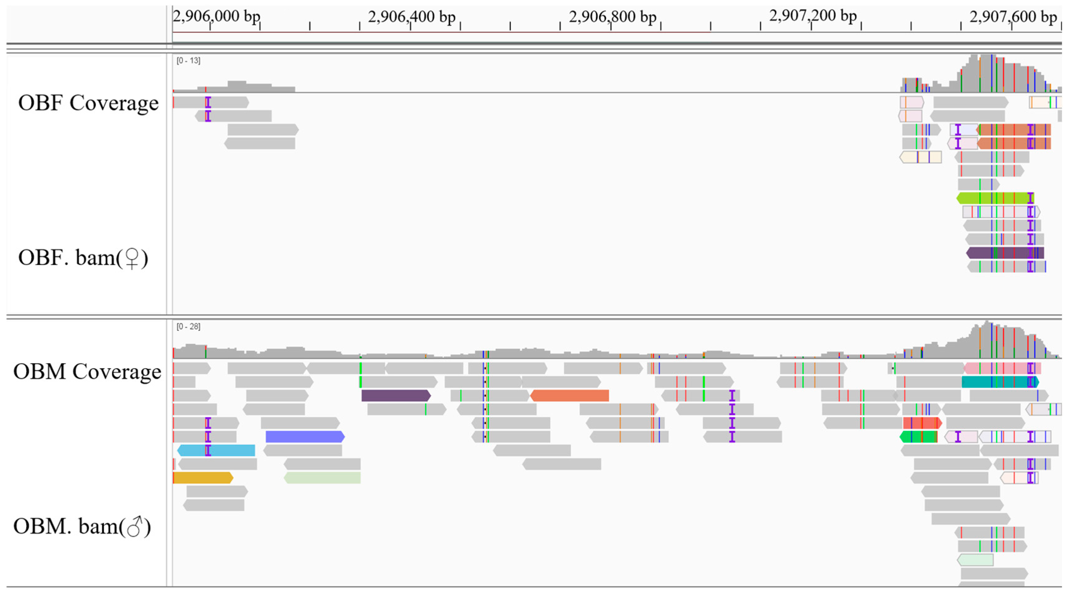 Animals 15 03164 g002