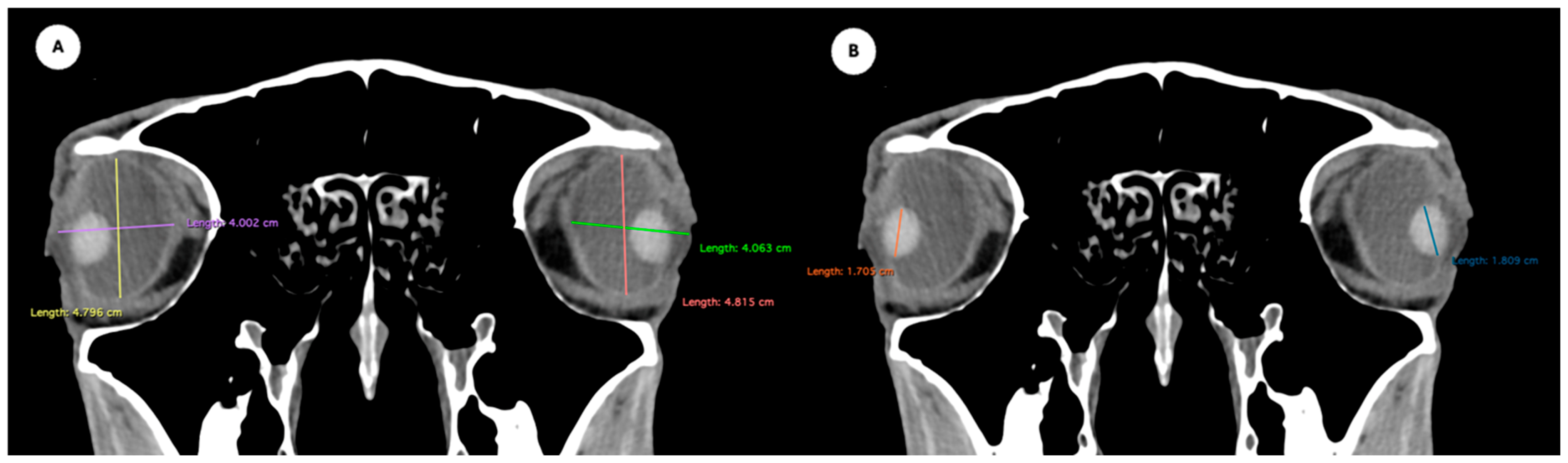 Animals 15 03165 g001
