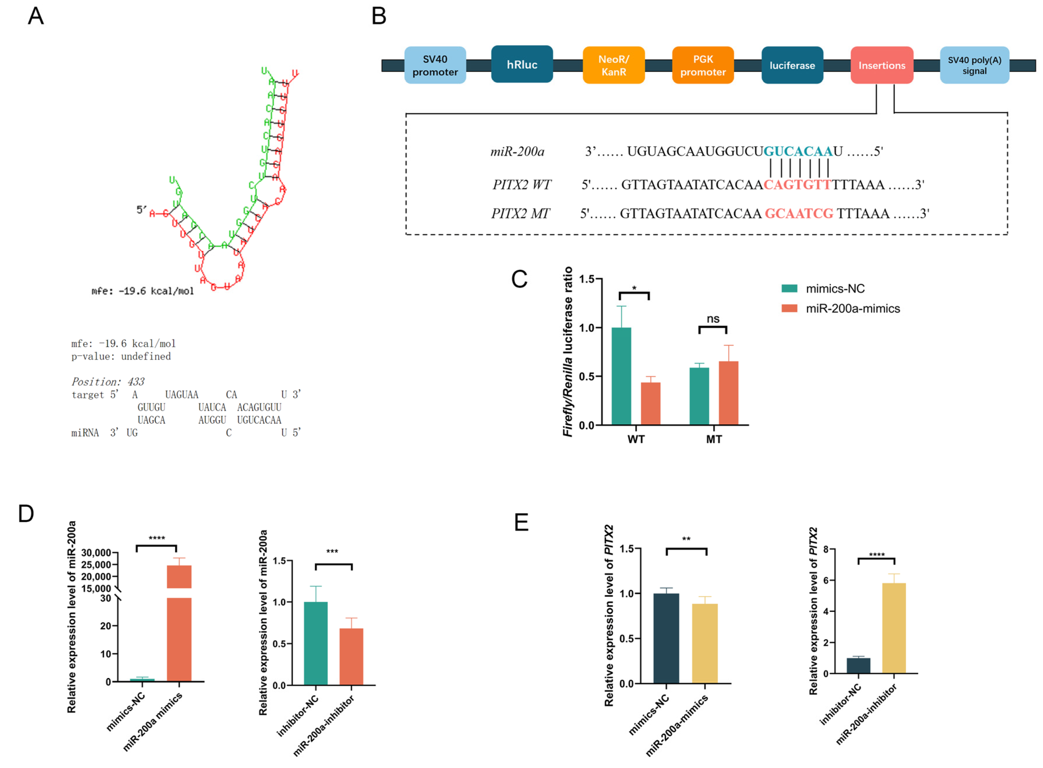 Animals 15 03171 g003 Animals 15 03171 g003