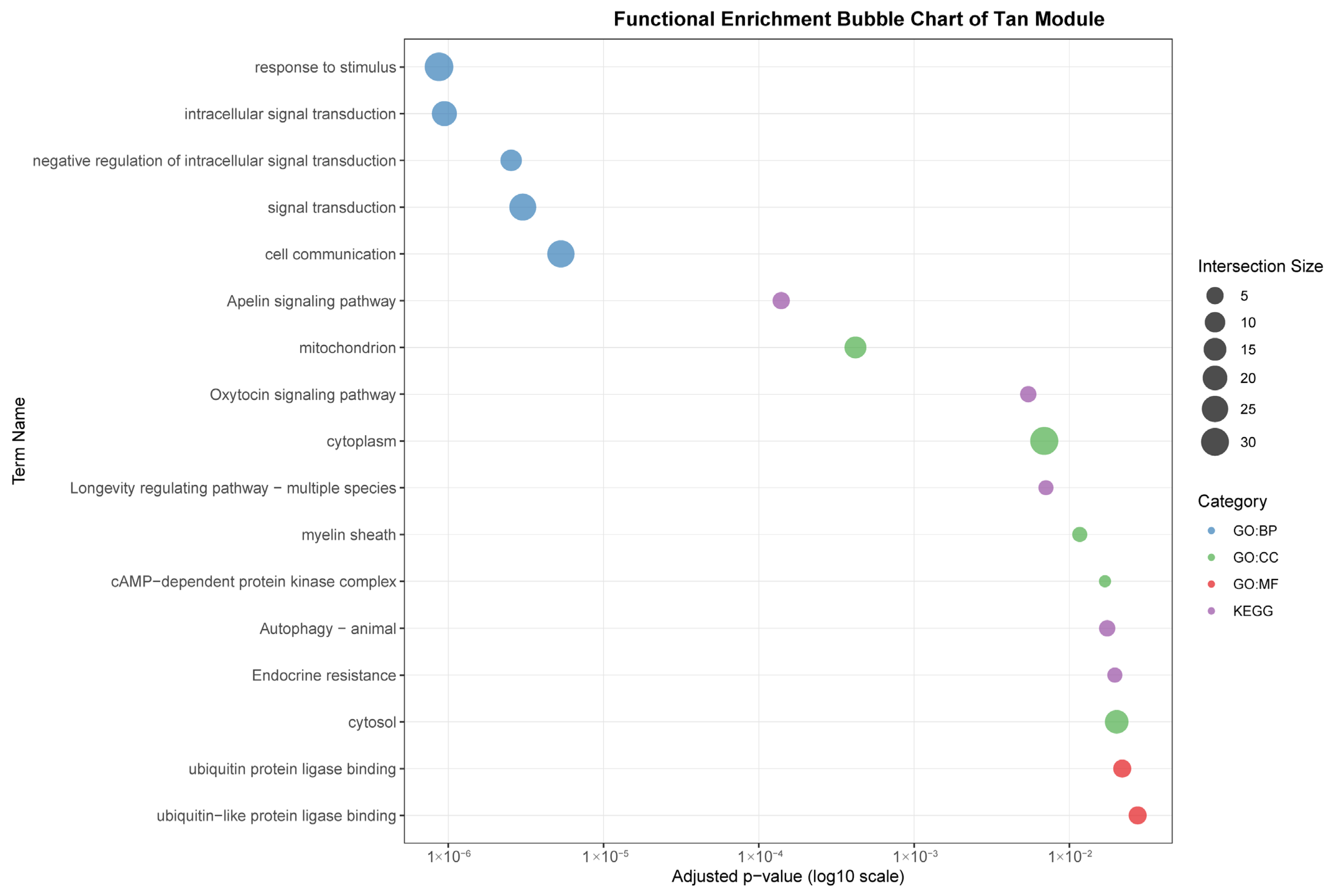 Animals 15 03173 g007d