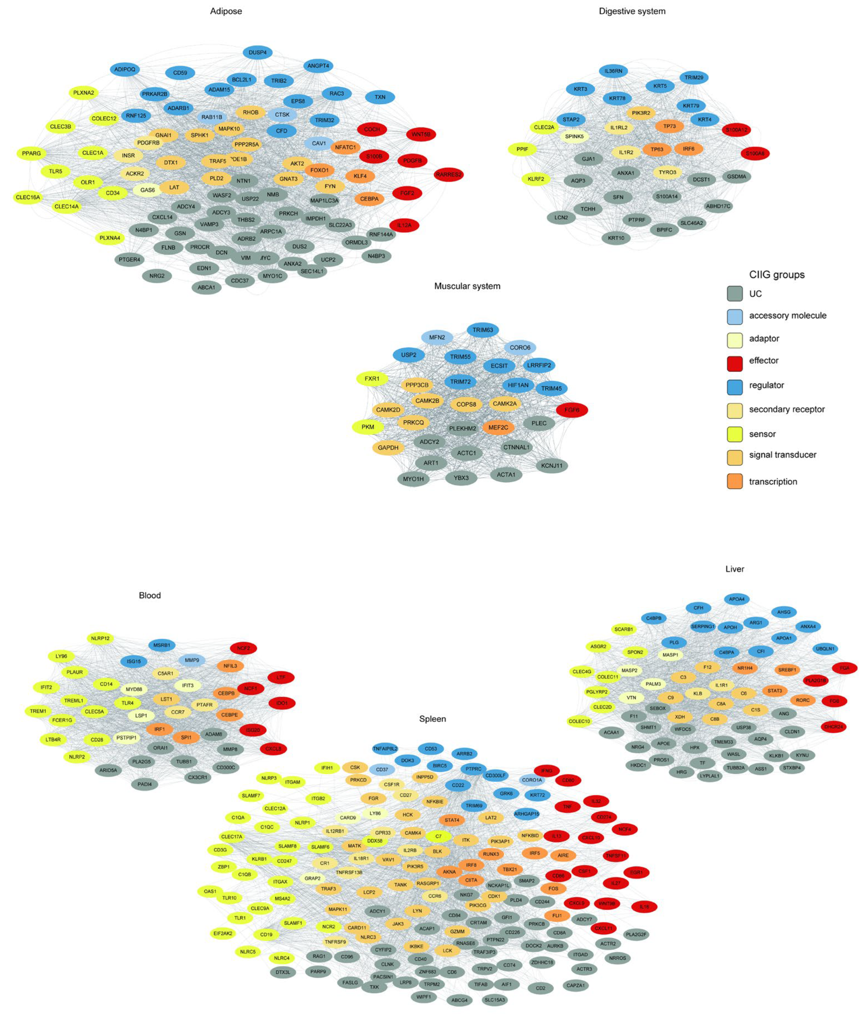 Animals 15 03173 g008