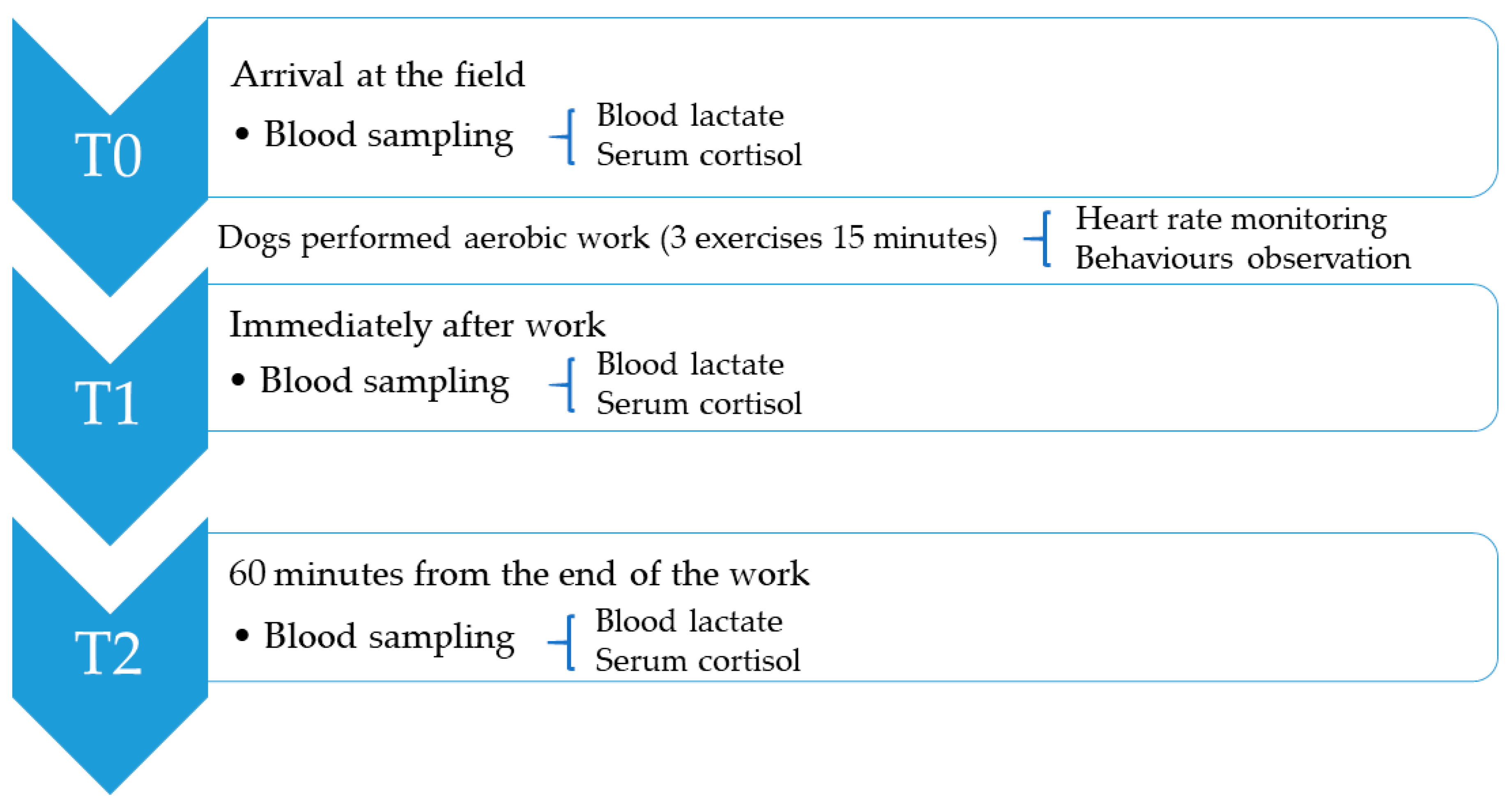 Animals 15 03175 g001 Animals 15 03175 g001