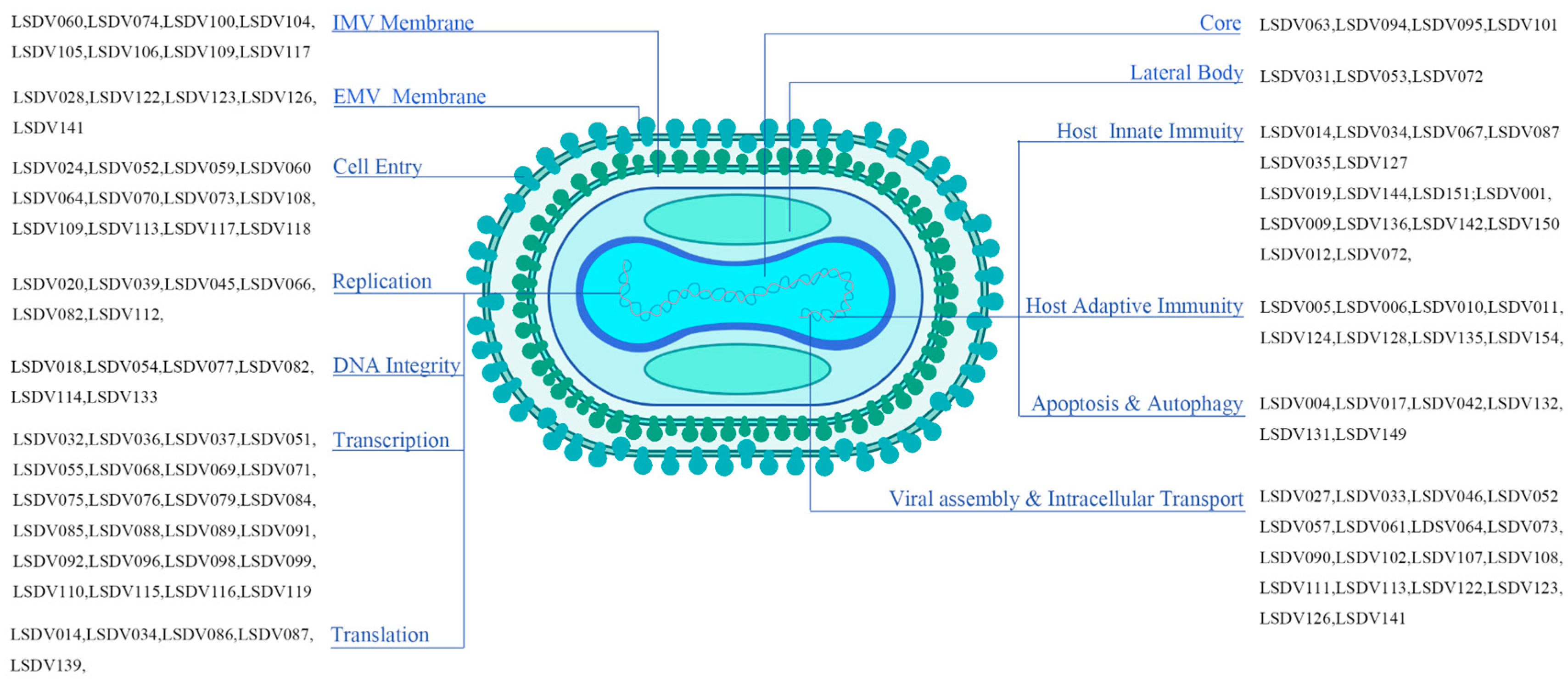 Animals 15 03176 g001