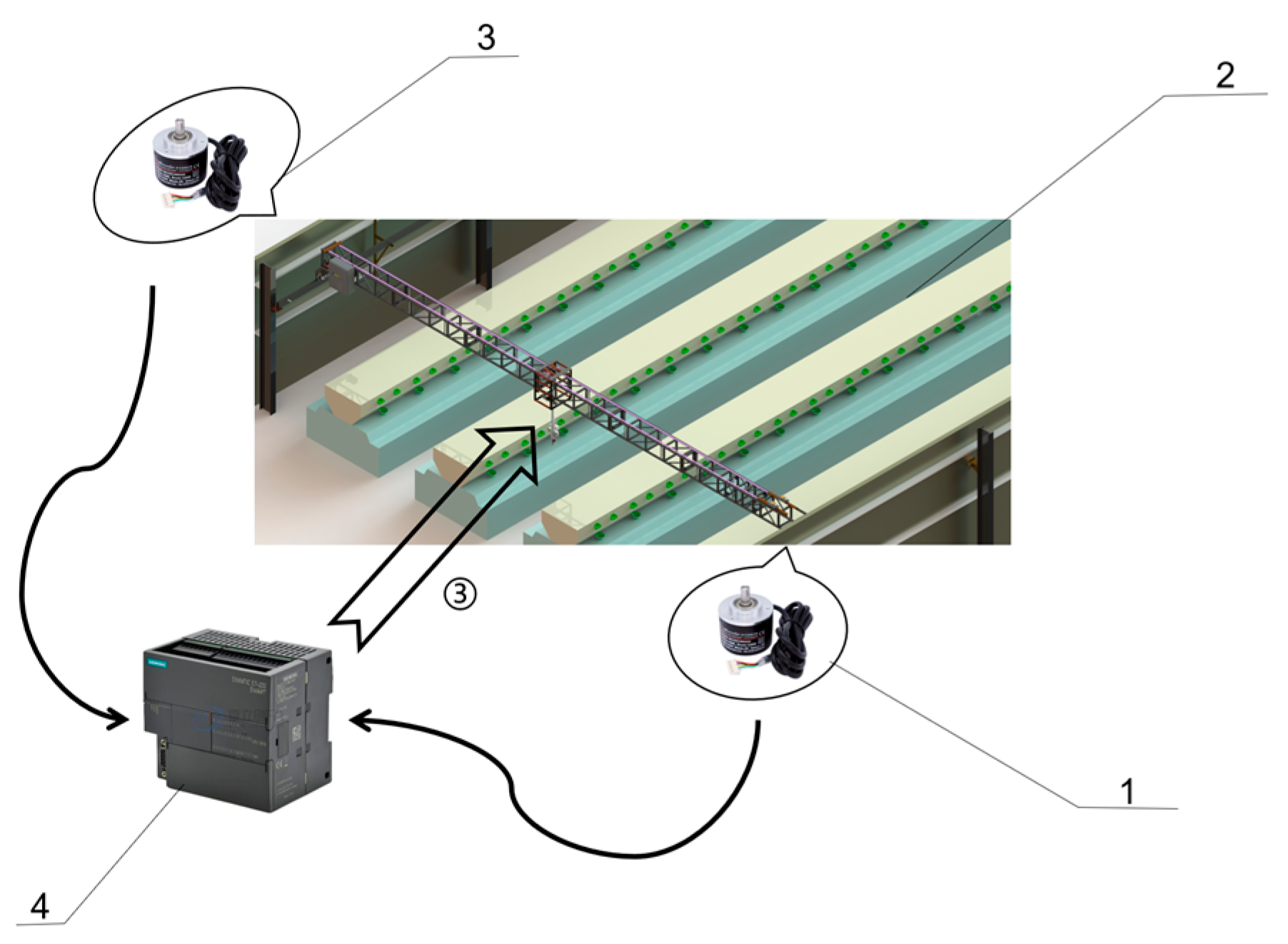 Animals 15 03177 g012