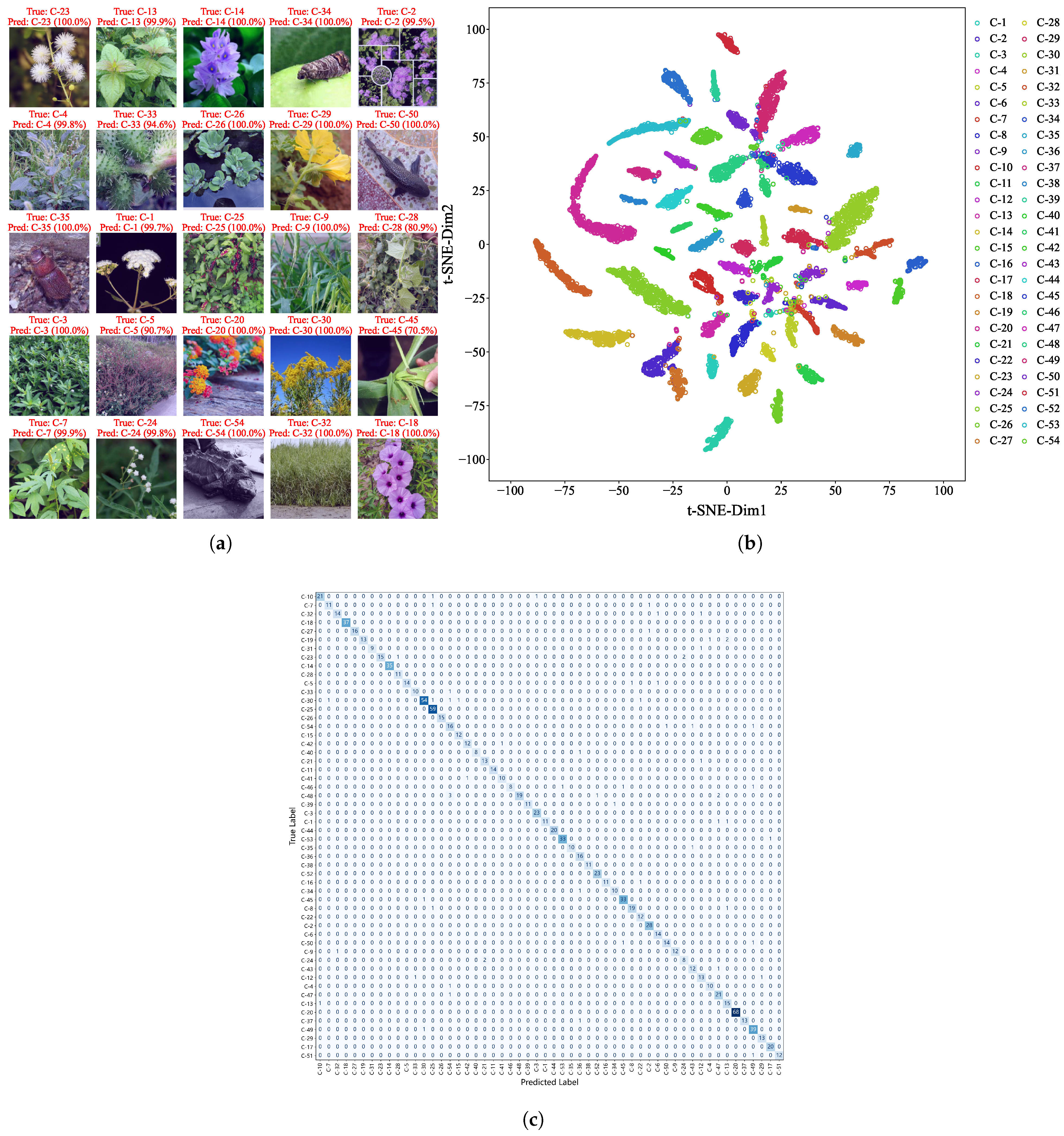 Animals 15 03181 g004 Animals 15 03181 g004