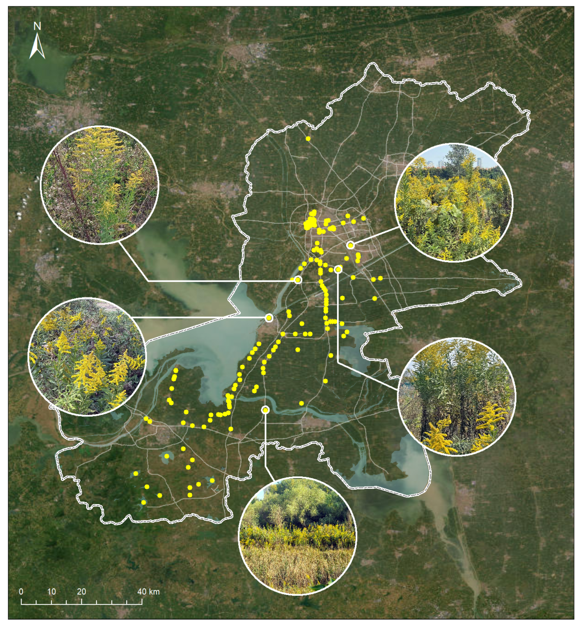 Animals 15 03181 g006 Animals 15 03181 g006