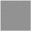 Animals 15 03181 i006 Animals 15 03181 i006